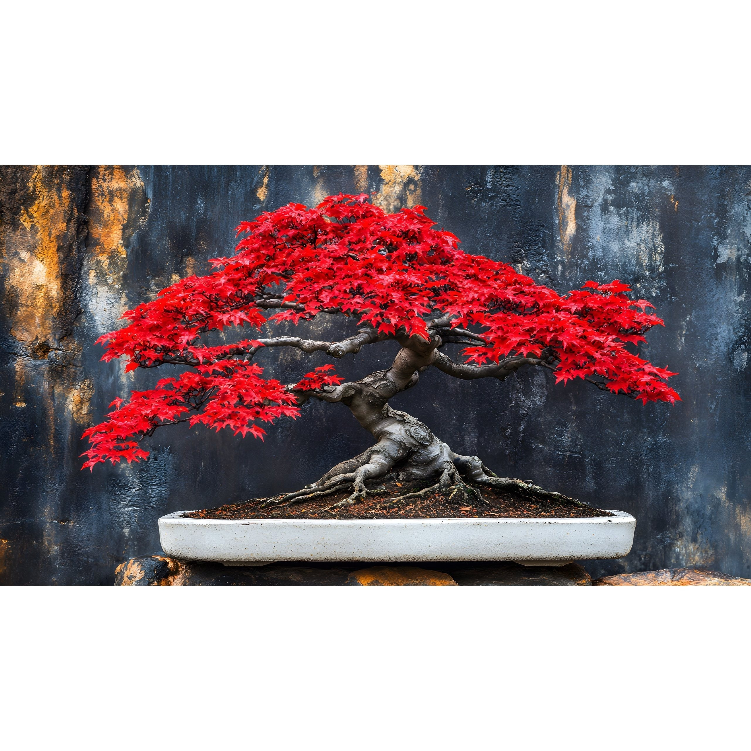 

Bonsai - 30 Pcs