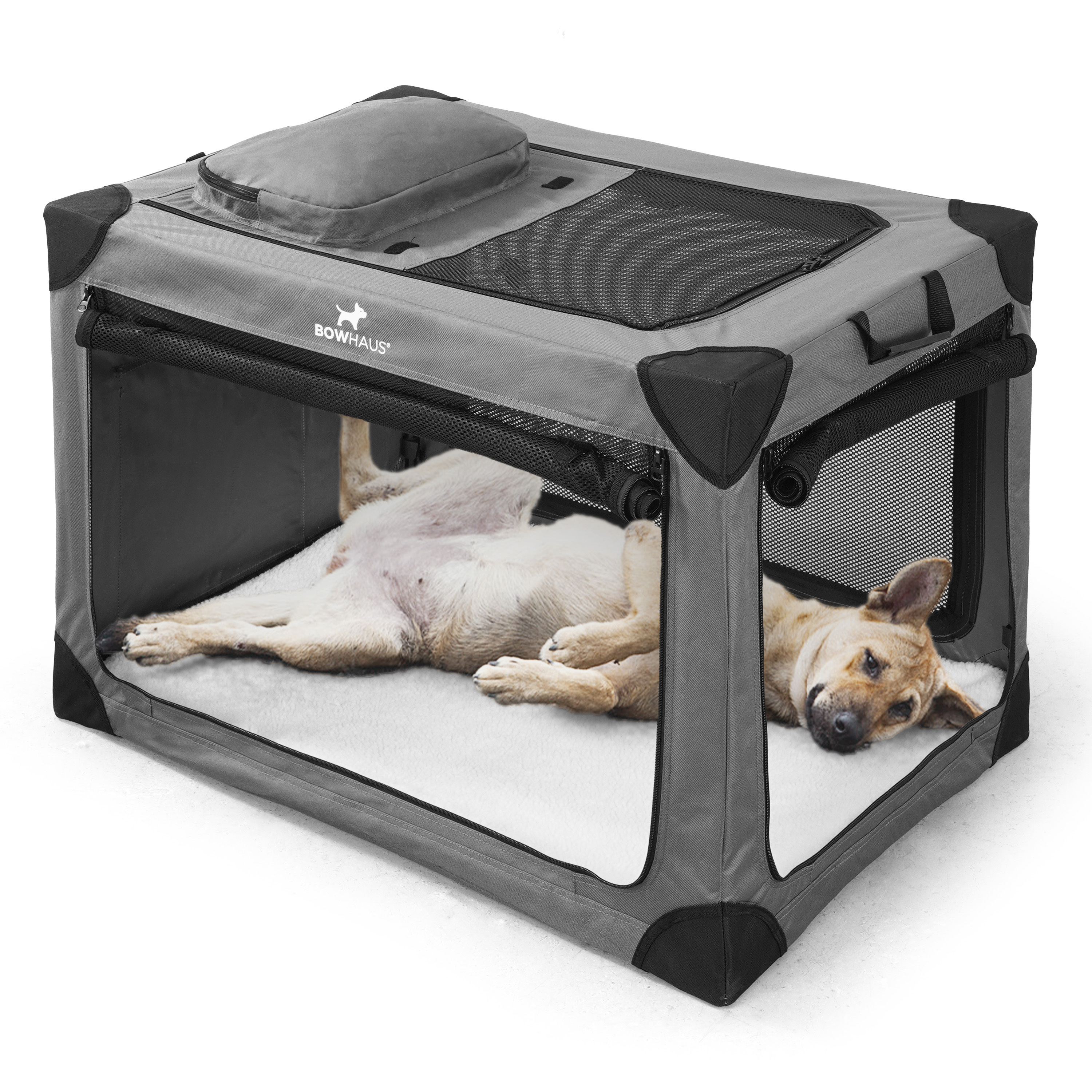 collapsible dog crates sold on Temu United States