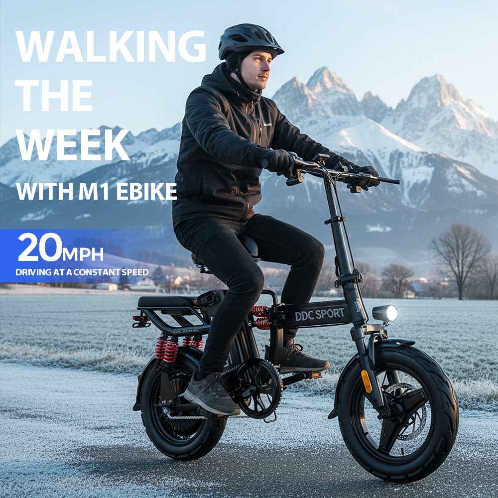 M1 Electric Bike For Adults,35 Miles Range,700W peak motor,20MPH Speed, 48V 20Ah Removable Battery, Dual Disc Brakes, Front And Rear Suspension & Commuter EBike, 14'' all-purpose tire, LCD Mileage Display, 330lbs Capacity - suitable for Last-Mile Commuter & College Campus Ebike, Daily Commute ebike