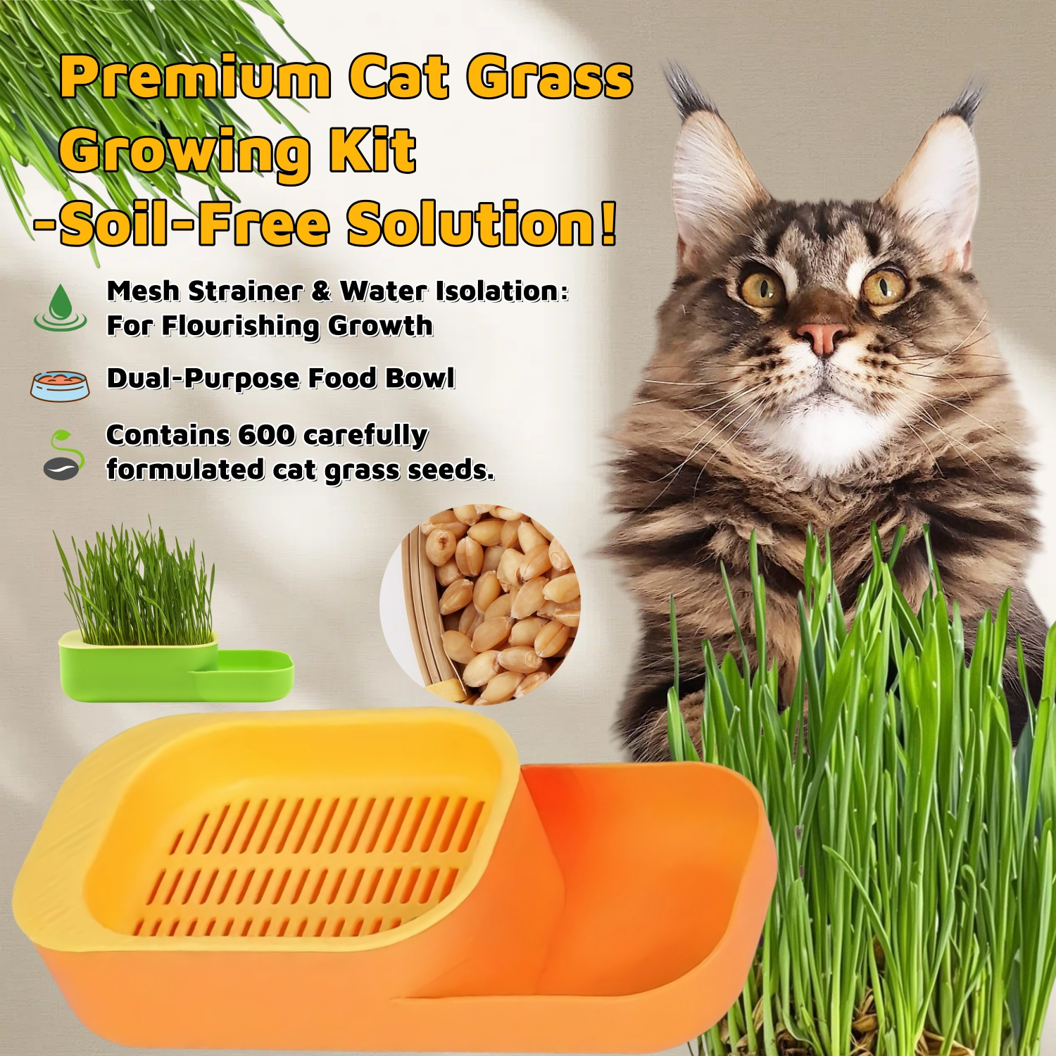 cat grass growing kit sold on Temu United States