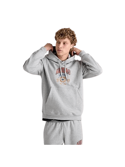 pullover hoodie grey 2xl
