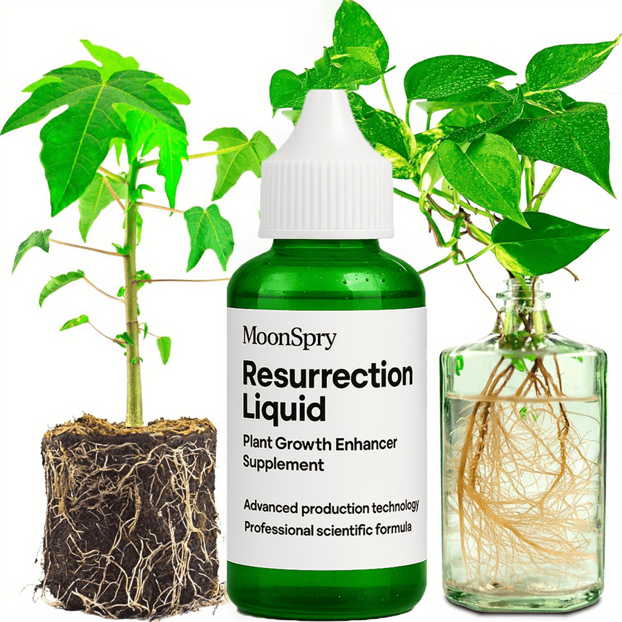 Plant Propagation Drops with Rooting * & * Enhancer - Easy-to-Use * for *  Faster * Stronger Houseplants, Indoor/Outdoor Plants, Flowers, Herbs,  Succulents, Bonsai - Safe for Sensitive * No Mess ...