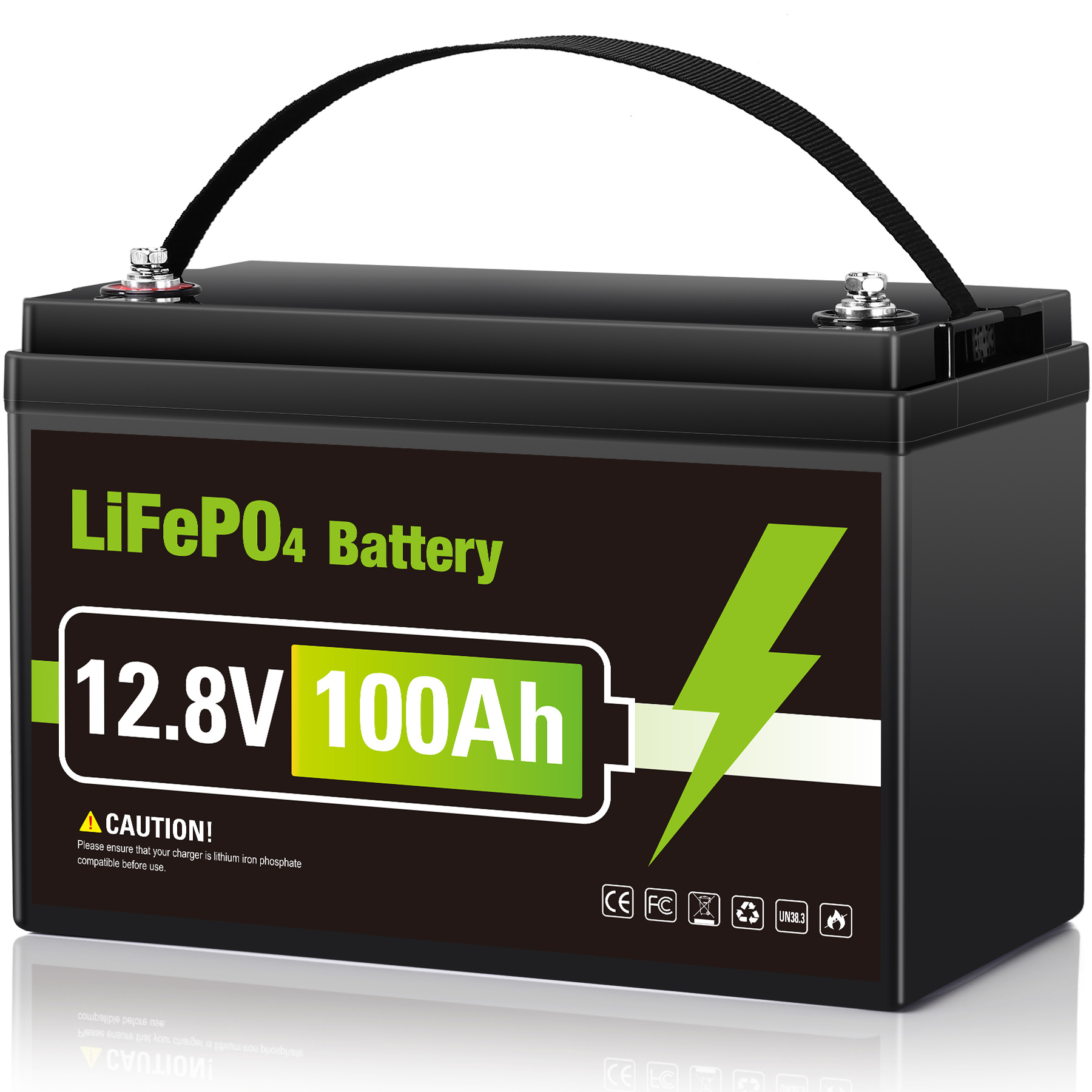 12v 100ah lifepo4 battery 1280 31 built in 100a bms - Temu