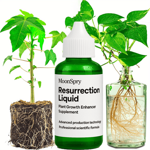 plant propagation drops with rooting enhancer for faster stronger houseplants indoor outdoor plants flowers herbs succulents bonsai safe for sensitive no mess application plant propagation supplies plant plant propagation indoor gardening outdoor plant care application nontoxic formula herb herbiculturists garden enthusiasts