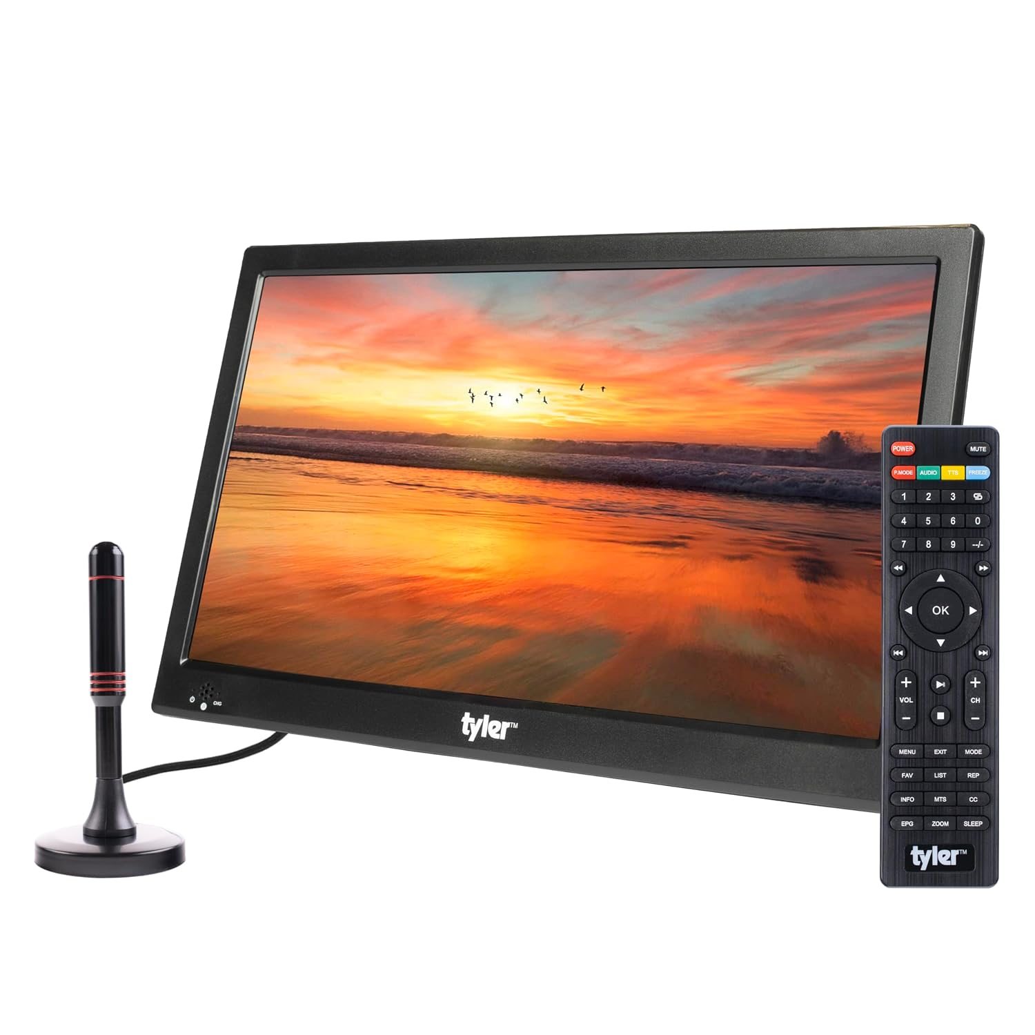 portable tv sold on Temu United States