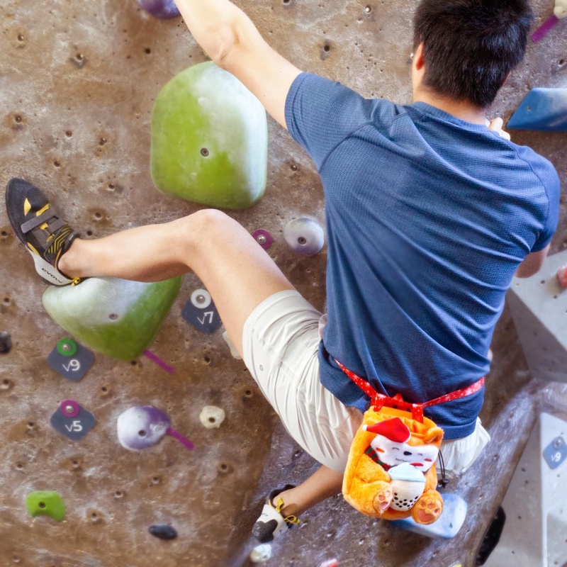 climbing chalk bag sold on Temu United States
