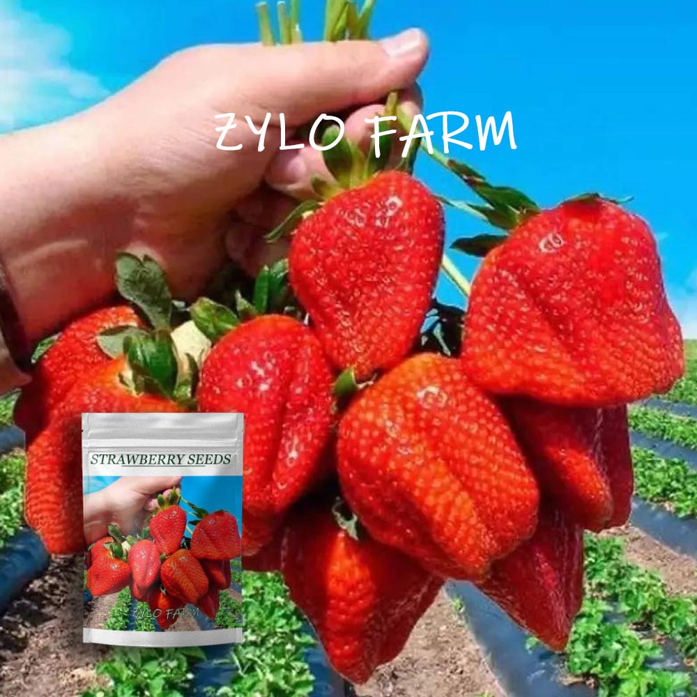 strawberry seeds sold on Temu United States