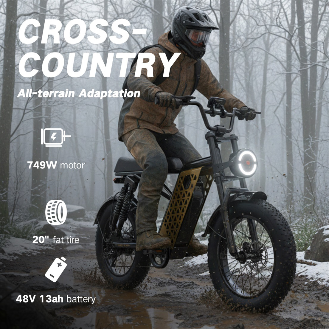 20 4 fat tires lcd display 749w ebike 20mph with 48v 13ah removable battery eclio f02 electric bike for adults front headlight disc brakes   dual suspension     supports 330lbs ideal for commuting   riding Product details 3