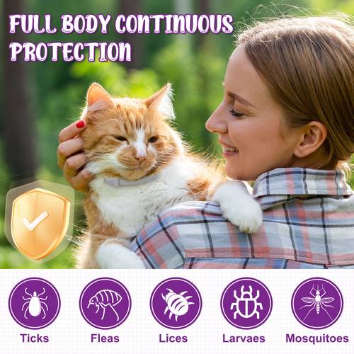 4pcs gray cat flea tick collar purple deshedding comb long lasting protection grooming kit for cats