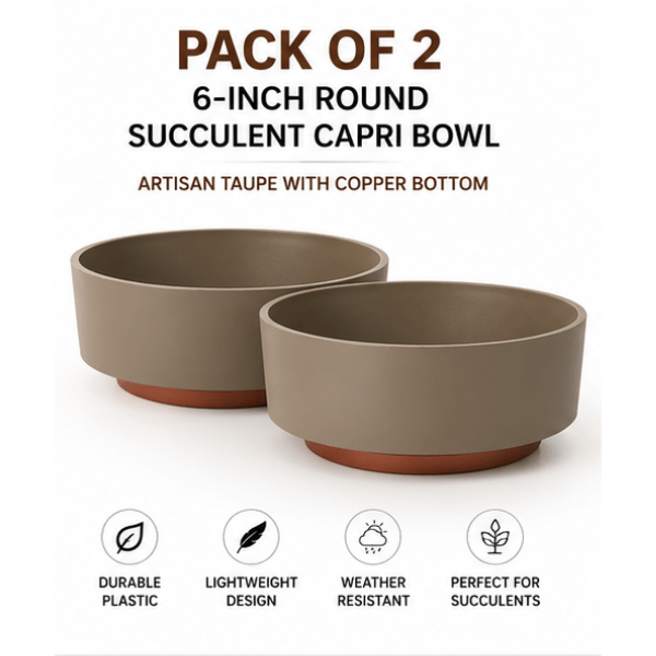 TEMU The Capri Round Plastic Succulent Planter Bowls, 6-inch, Artisan Taupe With , Pack Of 2