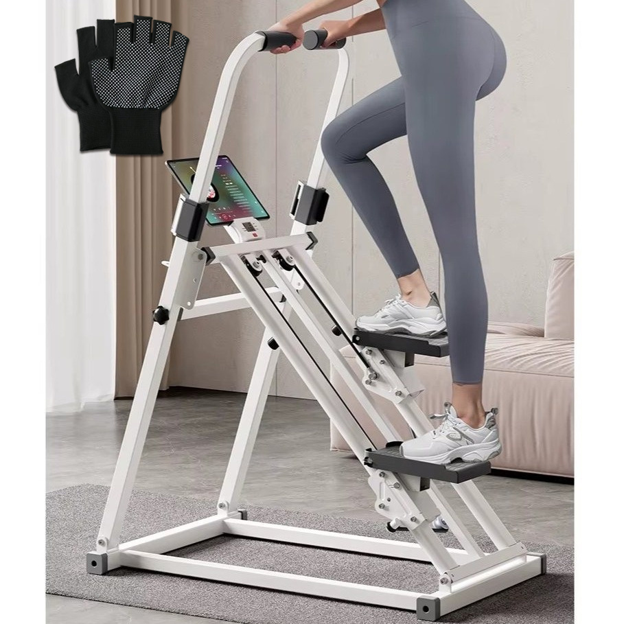 stair stepper sold on Temu United States
