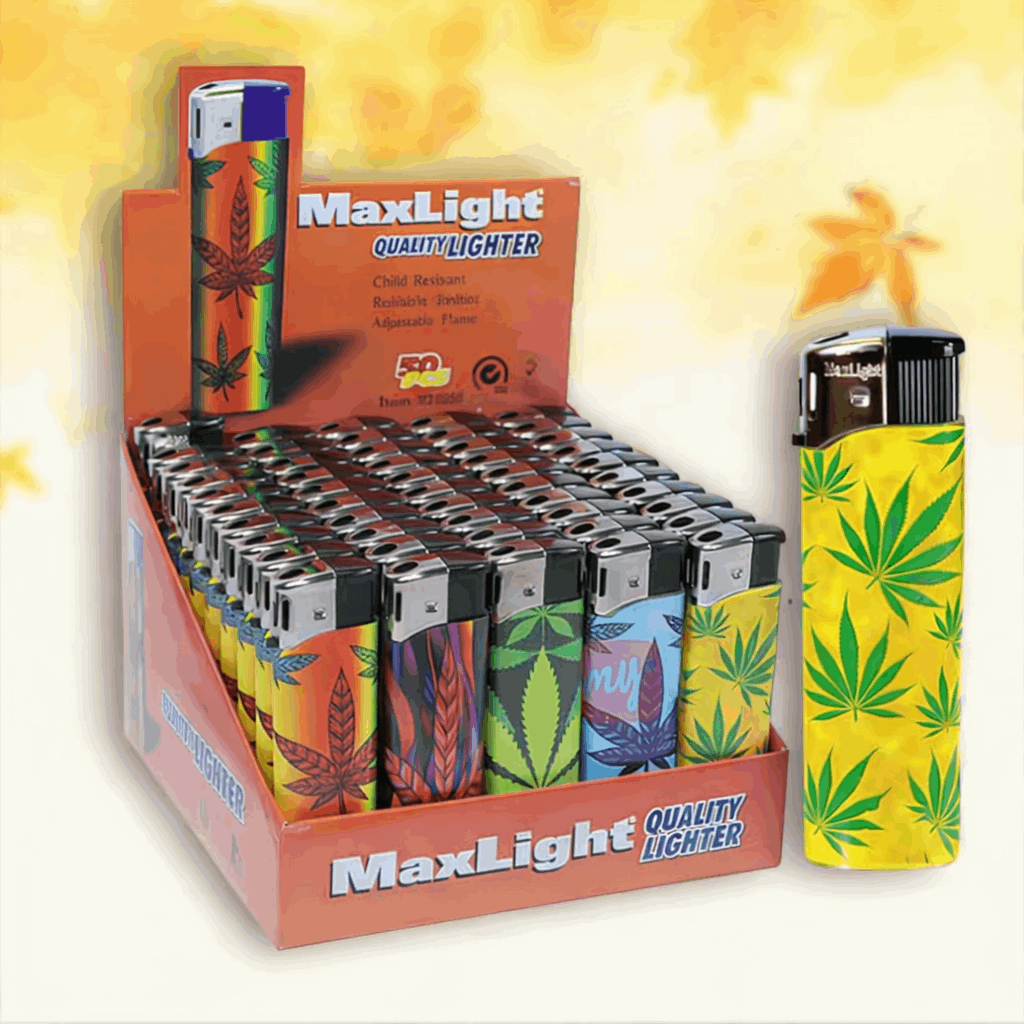temu cigarette lighters lighters sold on Temu United States