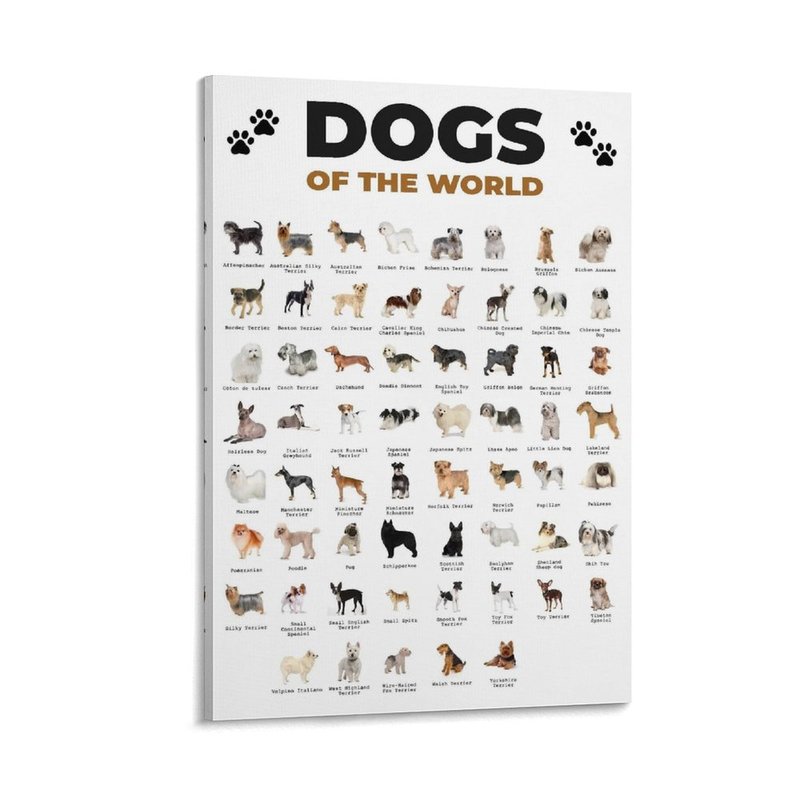 Dog Breeds A-Z List: Discover Your Perfect Companion