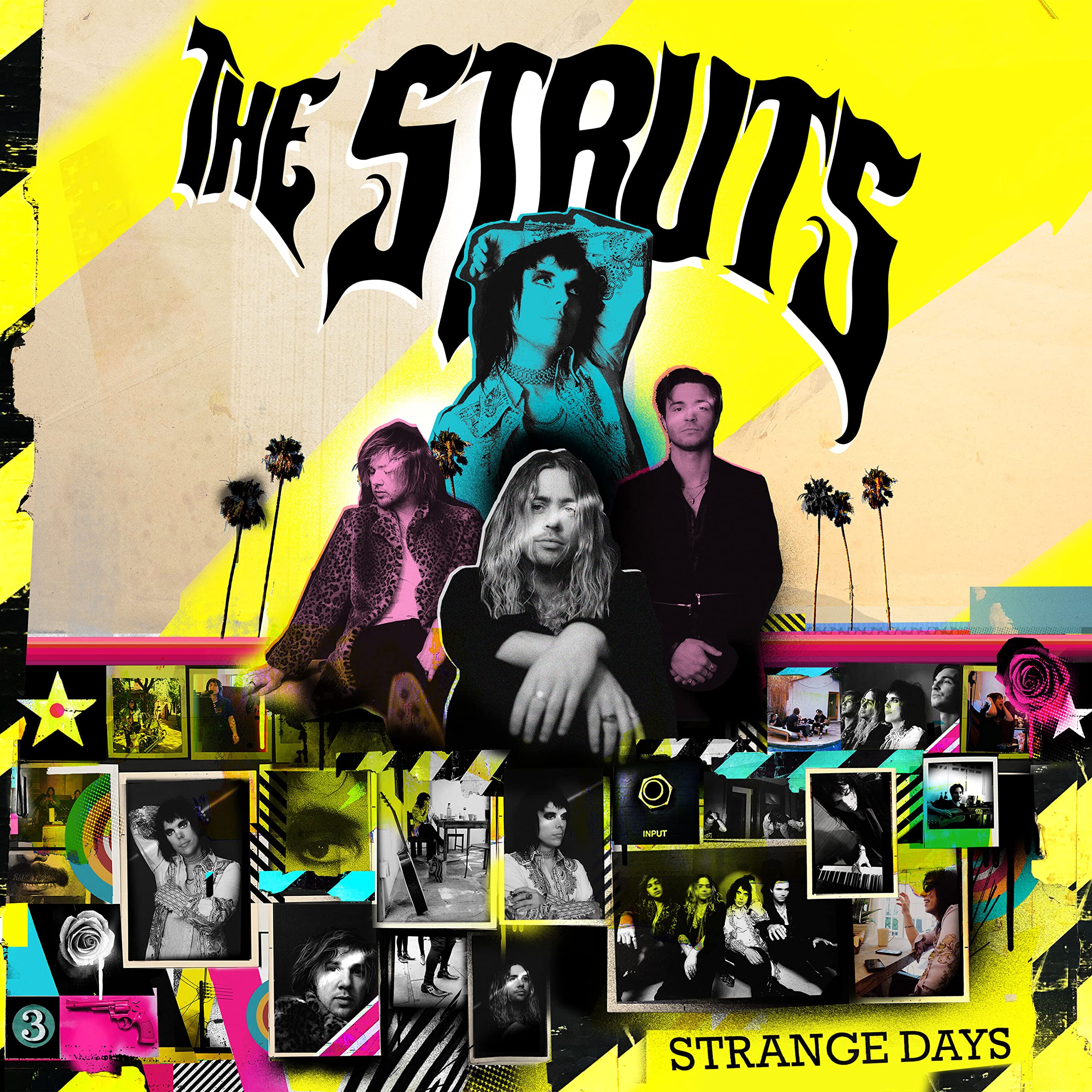 Struts, The