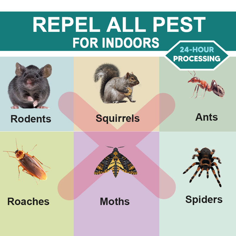 Pest Control Pouches, Ultraeffective Mice & Pouches For , Basements