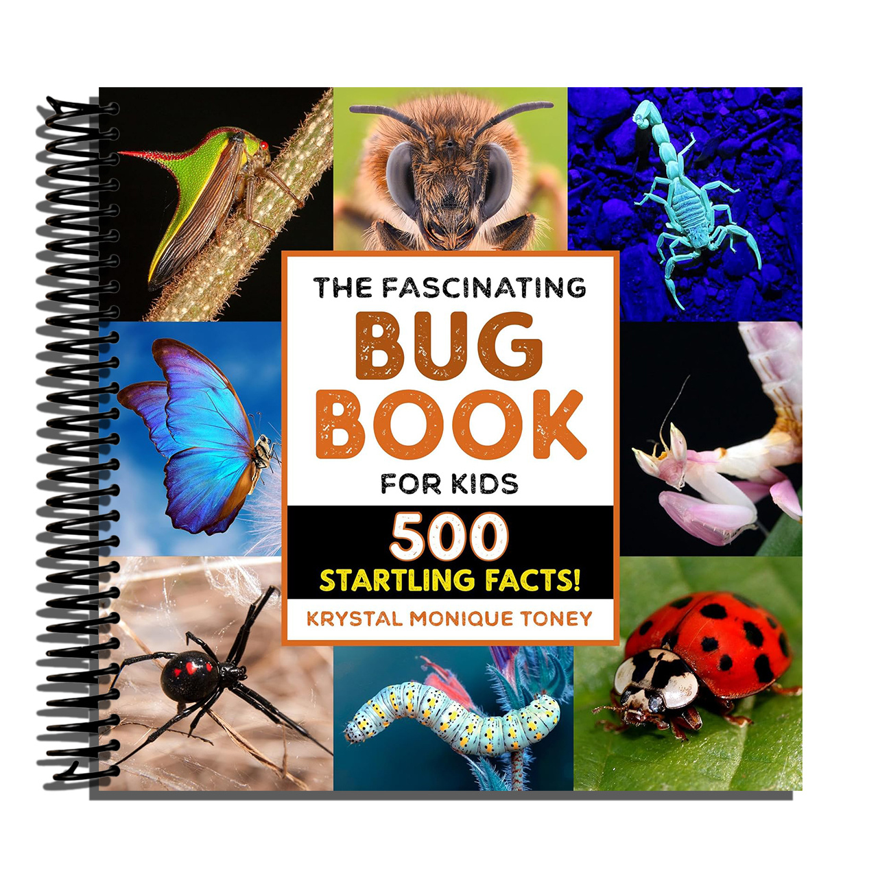 The Fascinating Bug Book For Kids: 500 Startling Facts! (fascinating Facts) [spiral-bound] Krystal Monique Toney…: retailer-supplied image