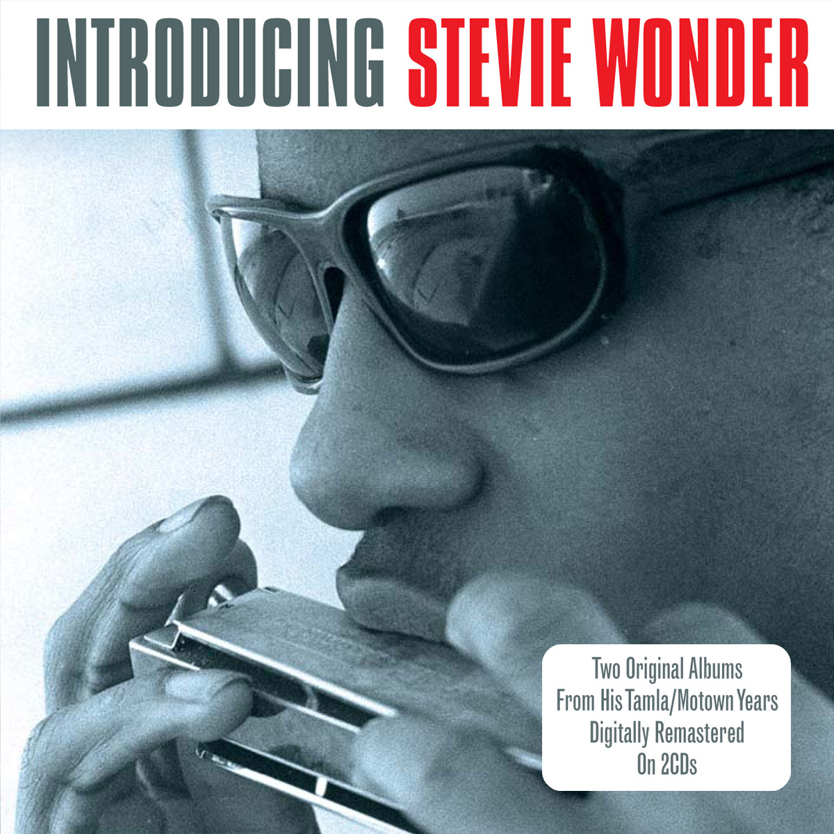 Stevie Wonder