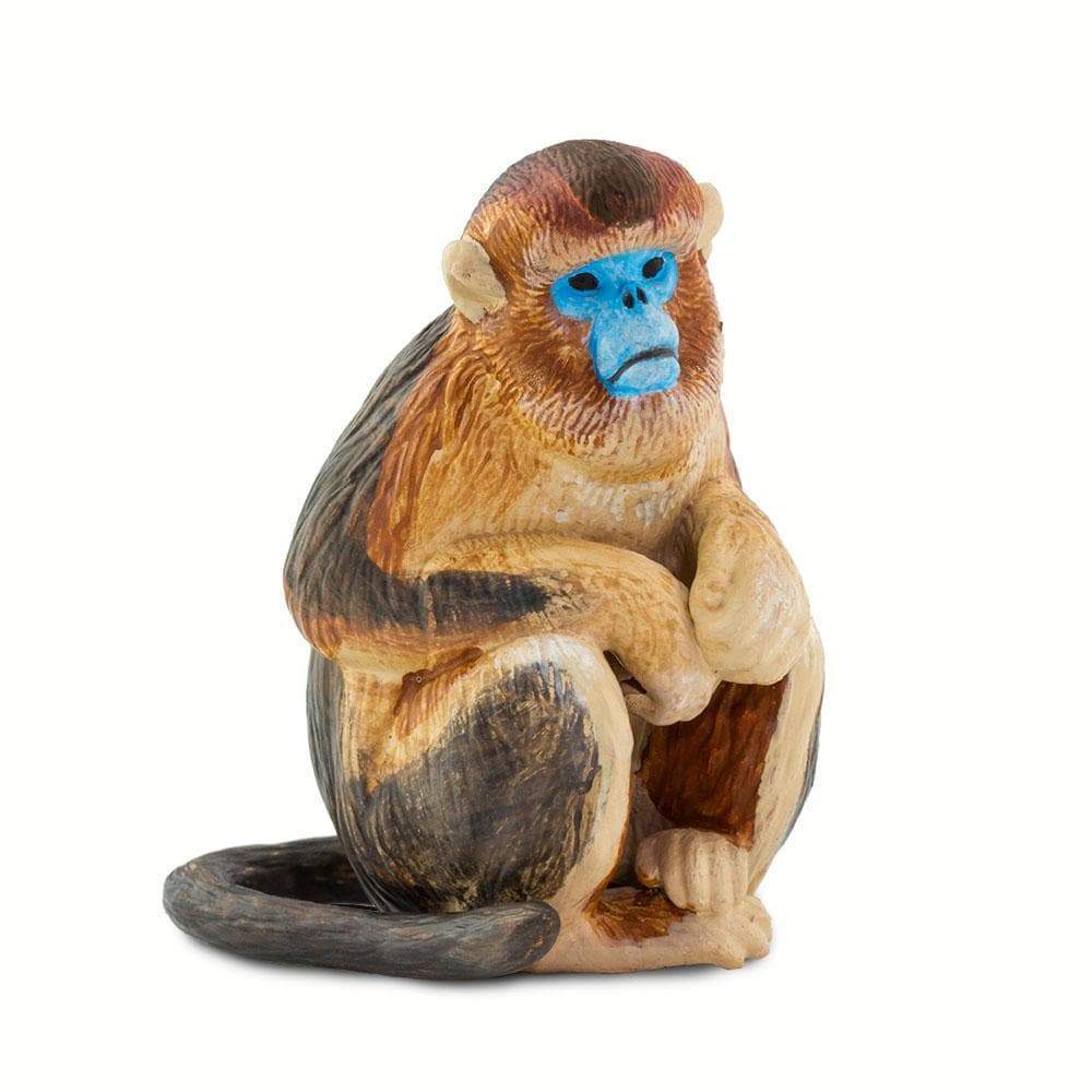 Monkey Toy