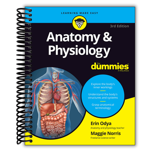 anatomy for for for lifestyle