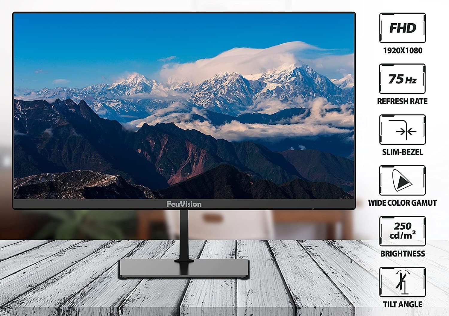 FeuVision Moniteur 24