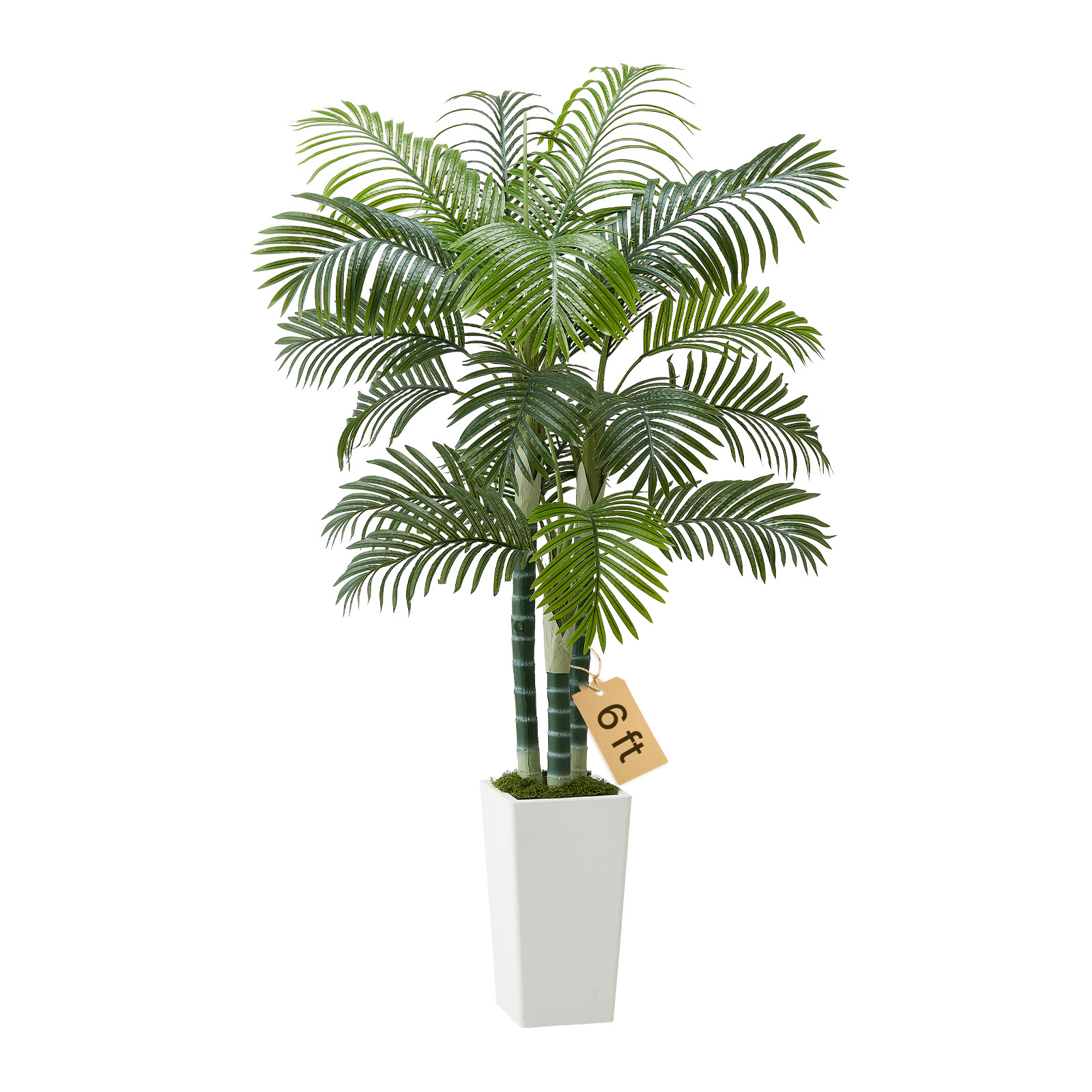 TEMU VEVOR Palmier Artificiel de 6 pieds Plante Fausse avec Cache-pot Blanc pour Intérieur