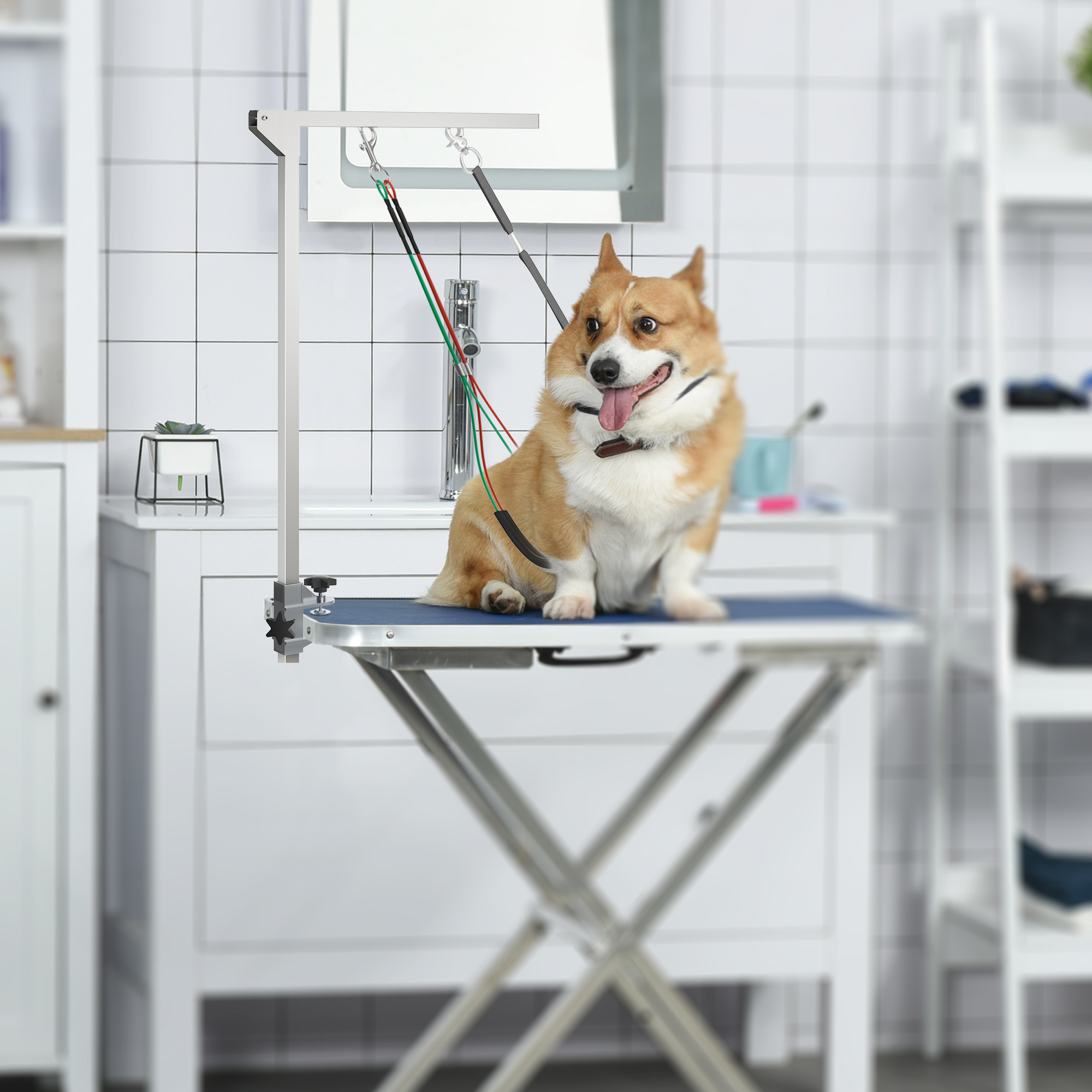 TEMU PawHut Support de Toilettage pour Chien avec Pince et 3 Boucles, 36 Pouces en Acier Inoxydable Pliable, Support de Fesses Assise, Hauteur et