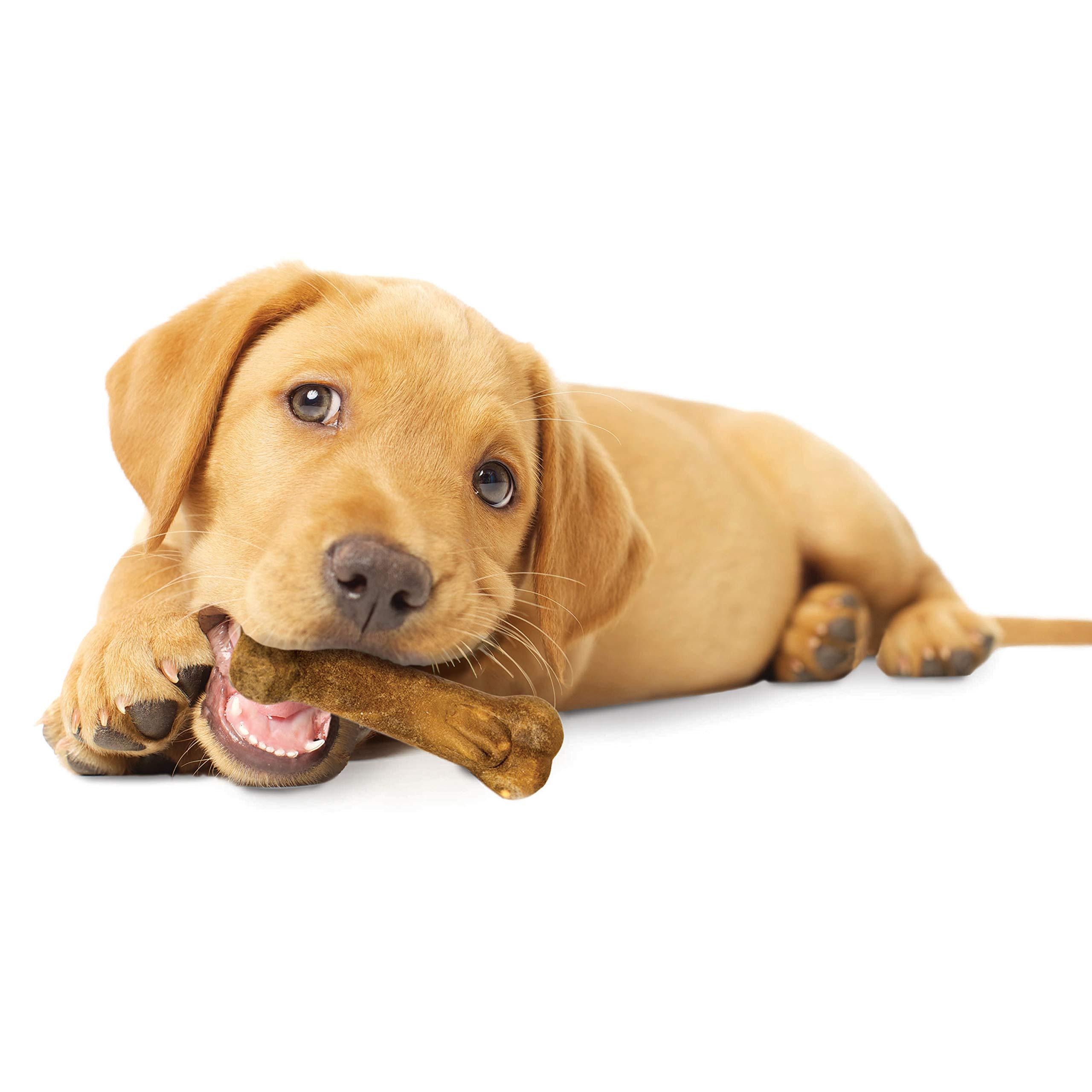   healthy   puppy chew treats lamb   regular 3 count Product details 9