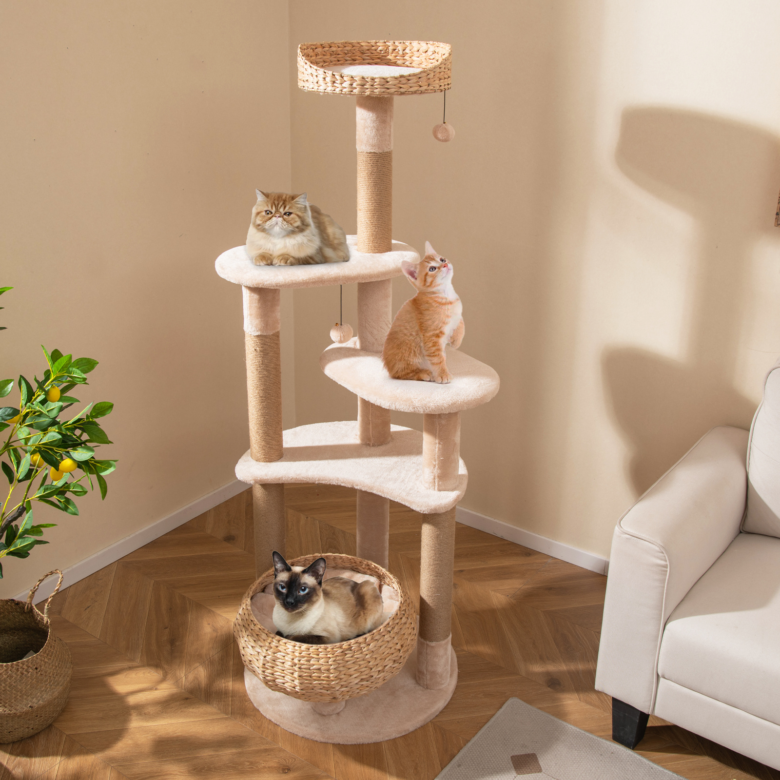 TEMU Arbre pour chats de 59" avec postes à gratter en sisal, perchoir, condo, hamac doux, coussins lavables, centre d'activité pour chats grimpeurs à