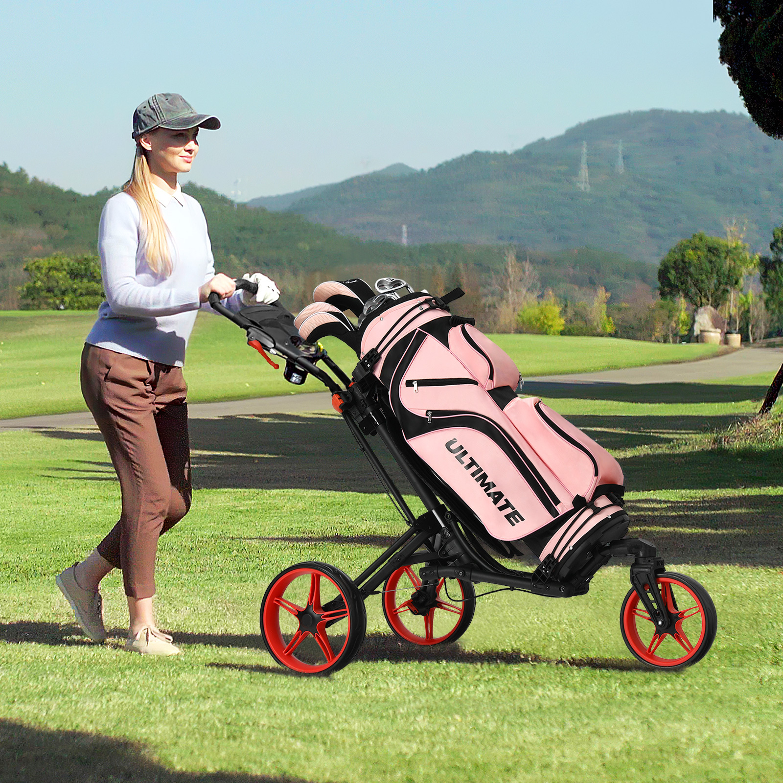 golf cart sold on Temu Canada