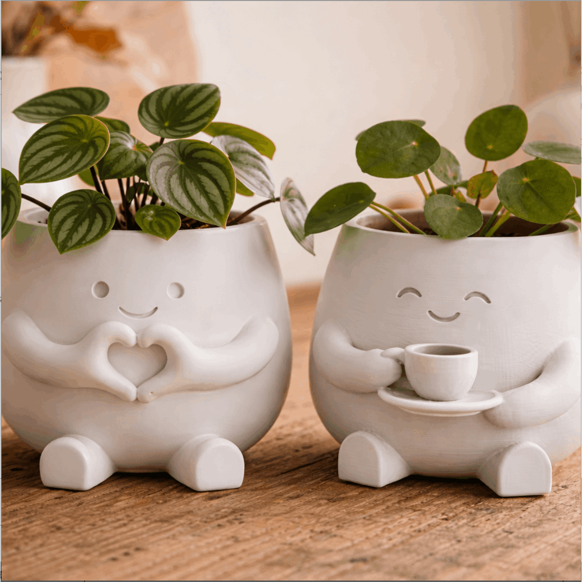 2 Flower Pot Suitable for Succulent & Pen Holders, Lightweight Plastic /Outdoor Desktop Pots with Irregular Shape, Small plant, Decorative Gift for   Housewarming, Birthdays (for, Office, Desk) - Modern Gardening Gift,home Decor