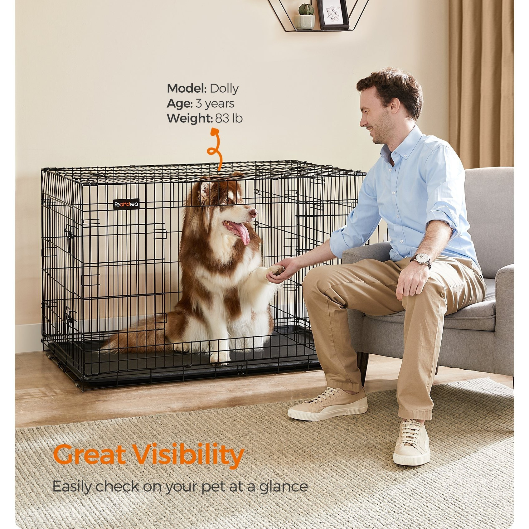 TEMU Caisse pour Chien, Cage Pliable de 48 Pouces avec 2 Portes, Panneau Diviseur Réglable, Bac Amovible, XXL, Noir