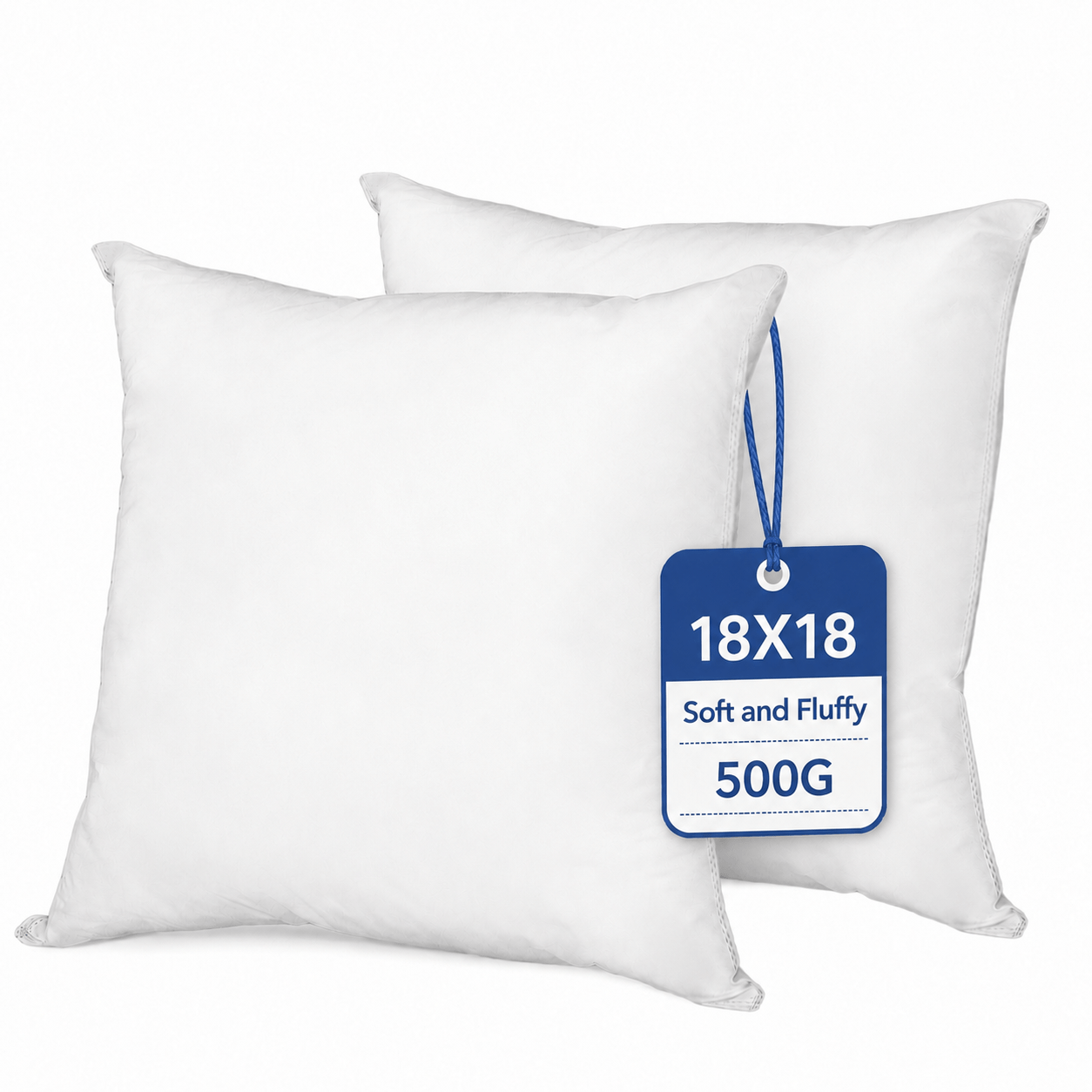 TEMU Coussins d'appoint pour canapé - Housses de coussin pour salon - Noyau de coussin blanc (16*16 pouces, 18*18 pouces, 20*20 pouces, lot de 2)