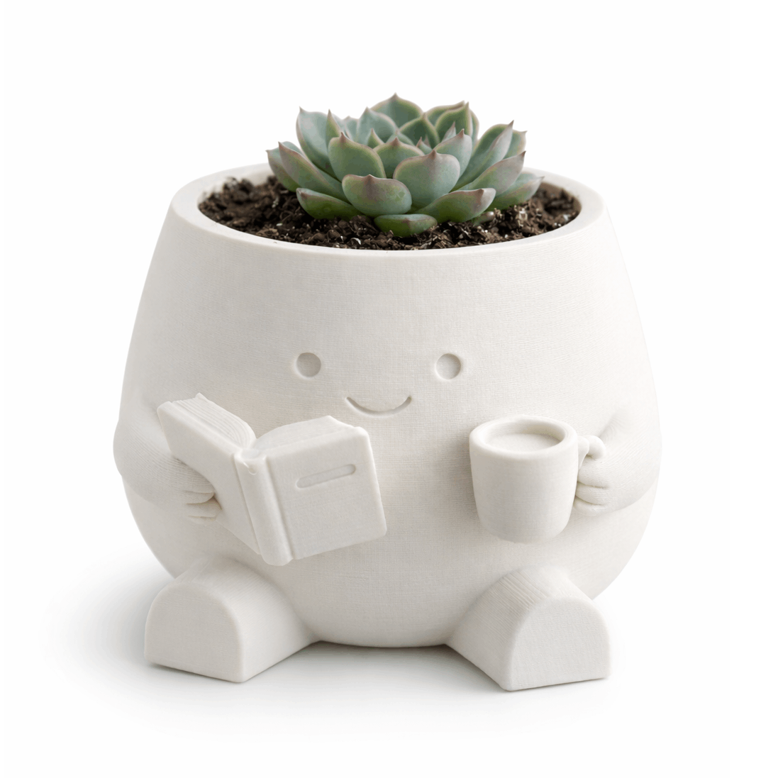 TEMU Pot de Fleur pour Plantes Succulentes et Porte-Stylos, en Plastique Léger / Pots de Bureau d'Extérieur à Irrégulière, Cadeau Décoratif pour