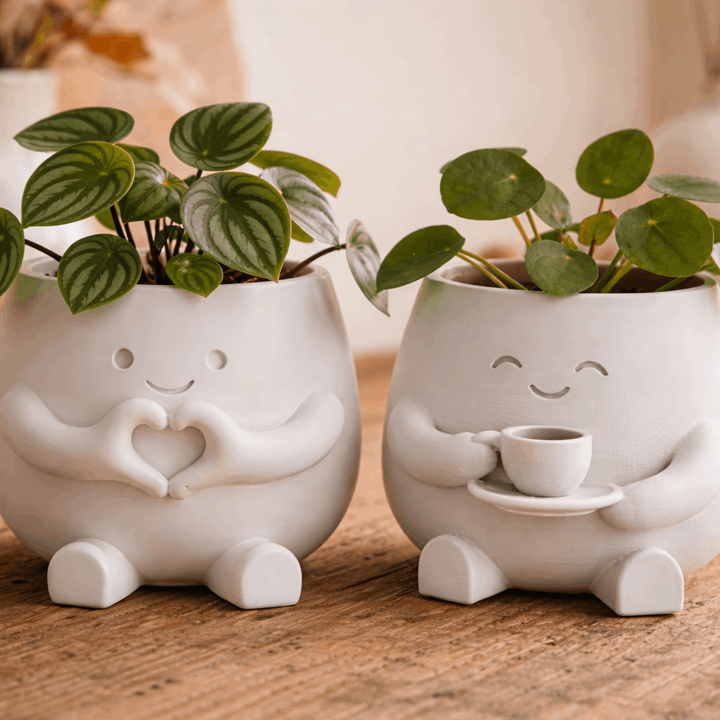 2 flower pot suitable for succulent pen holders lightweight plastic outdoor desktop pots with irregular shape small plant decorative gift for   plant housewarming birthdays for office desk modern gardening gift home decor plastic