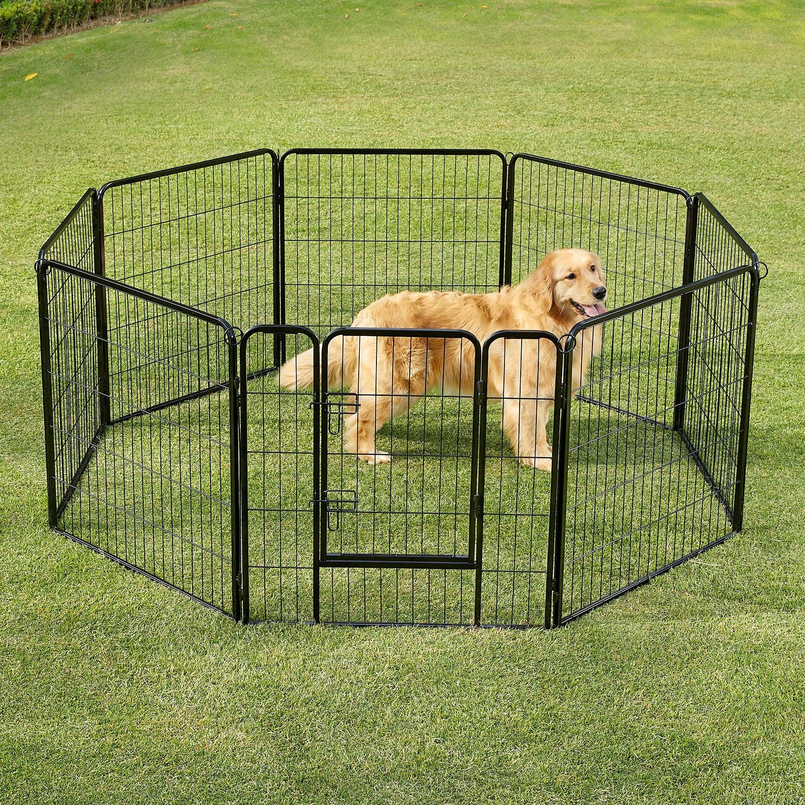 TEMU Péniche pour chien, clôture pour chien DIY, 8 panneaux, 31,5 pouces de hauteur, 2 serrures en L, péniche pour chien pour et l'extérieur, chiens,