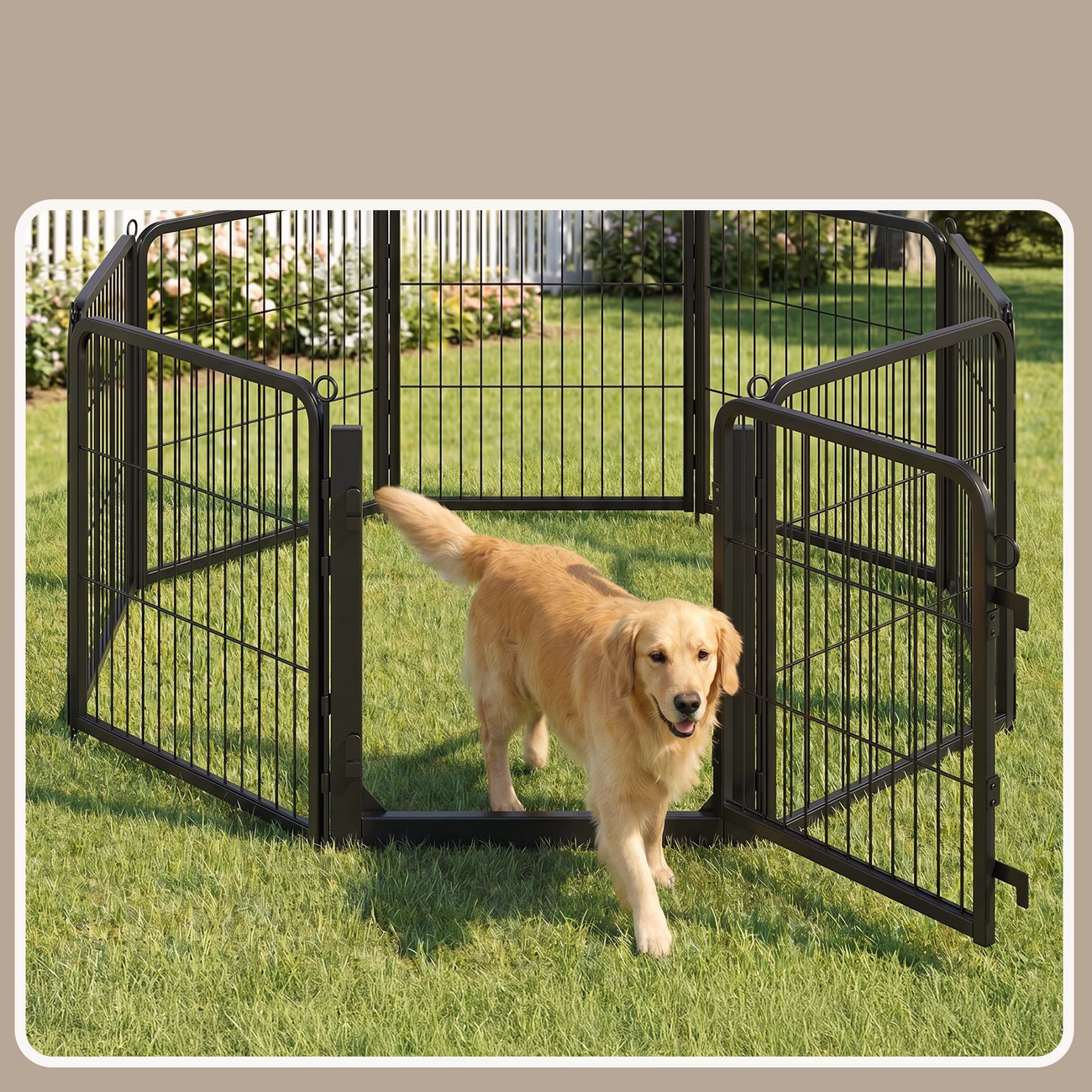 dog playpen 8 panels heavy duty steel pet fence 54 5 x 54 5 6 inches black Product details 5
