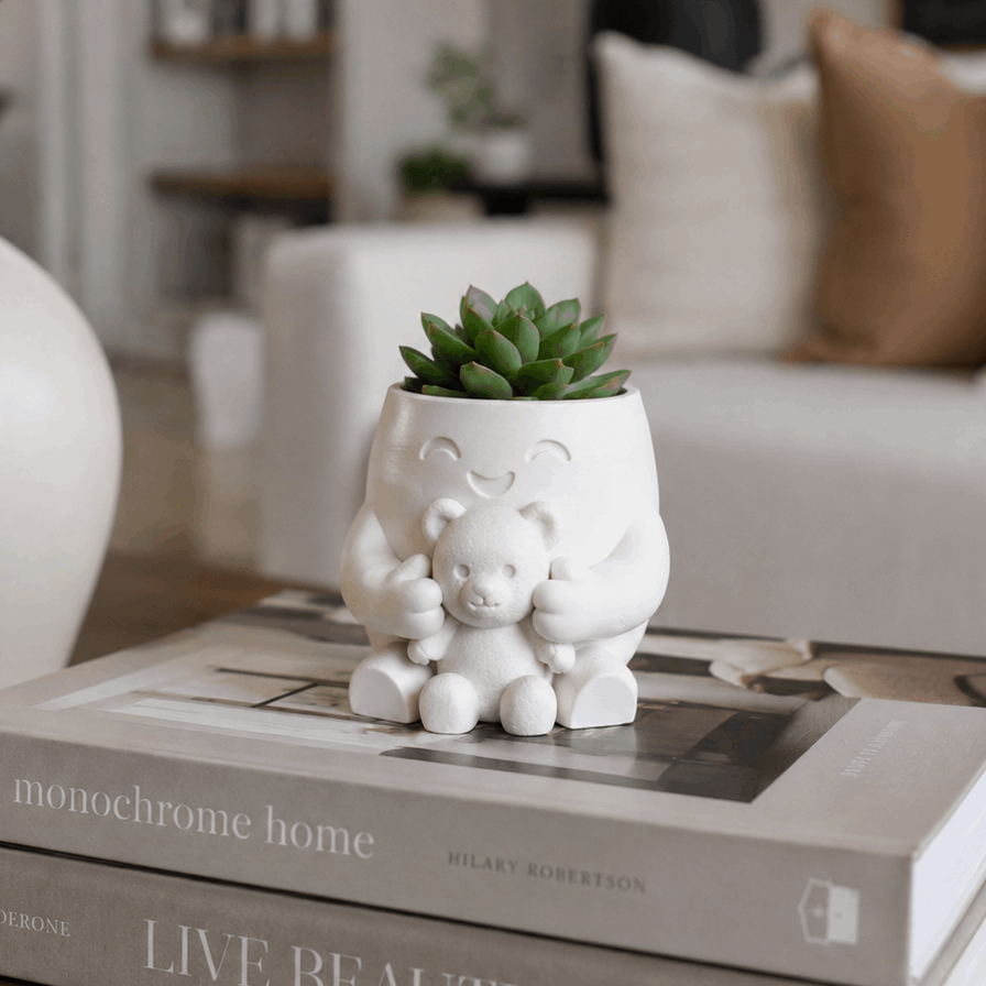 TEMU 1pc Teddy Bear Flower Pot, Cute Succulent Green Plant Pot Planter Container, High-value Small Flower Pot, Office And Home Desktop Decoration