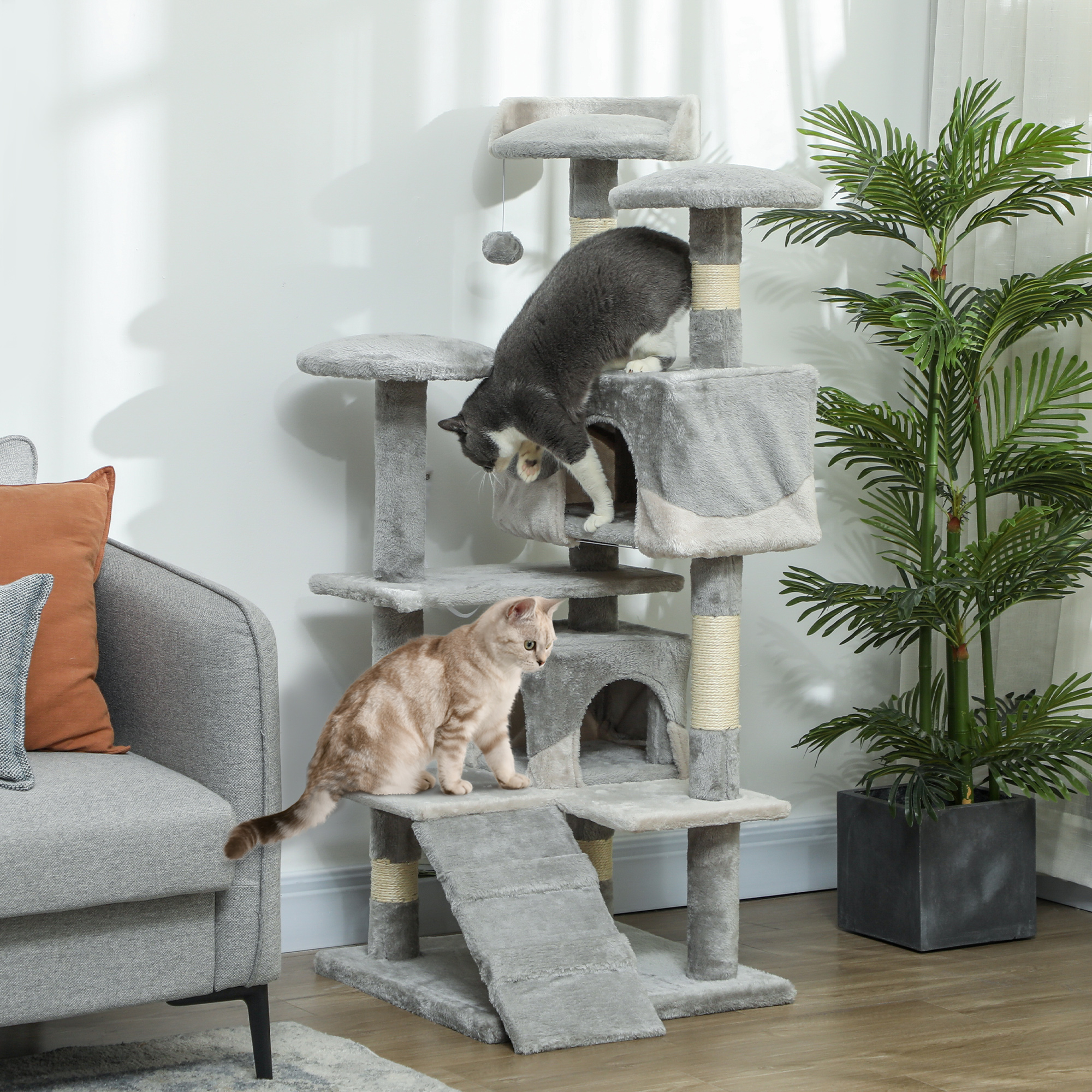 Arbre à chat de 53 pouces avec deux condos et rampe pour chat adulte