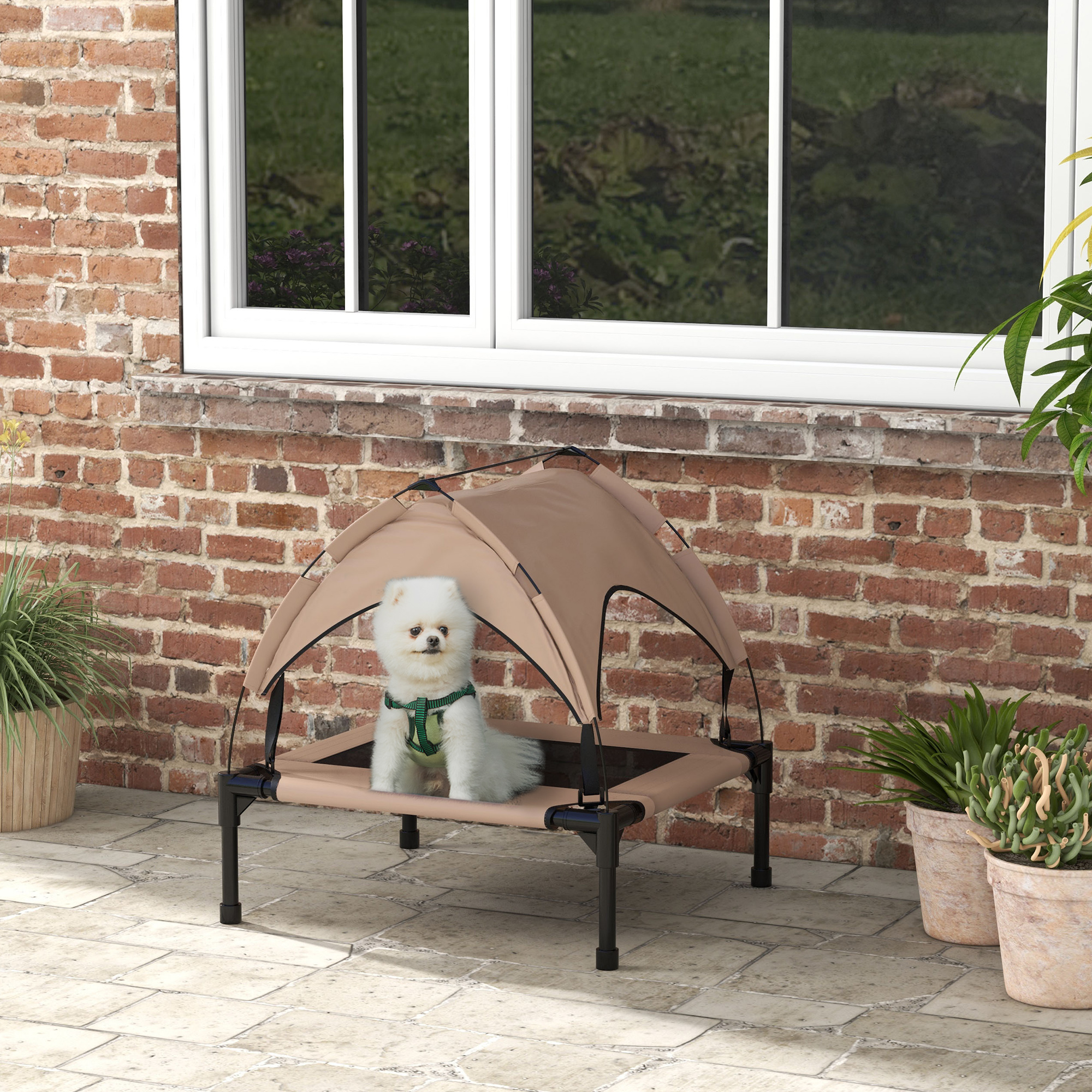 TEMU Lit pour chien surélevé, lit pour chien refroidi avec auvent, pour S
