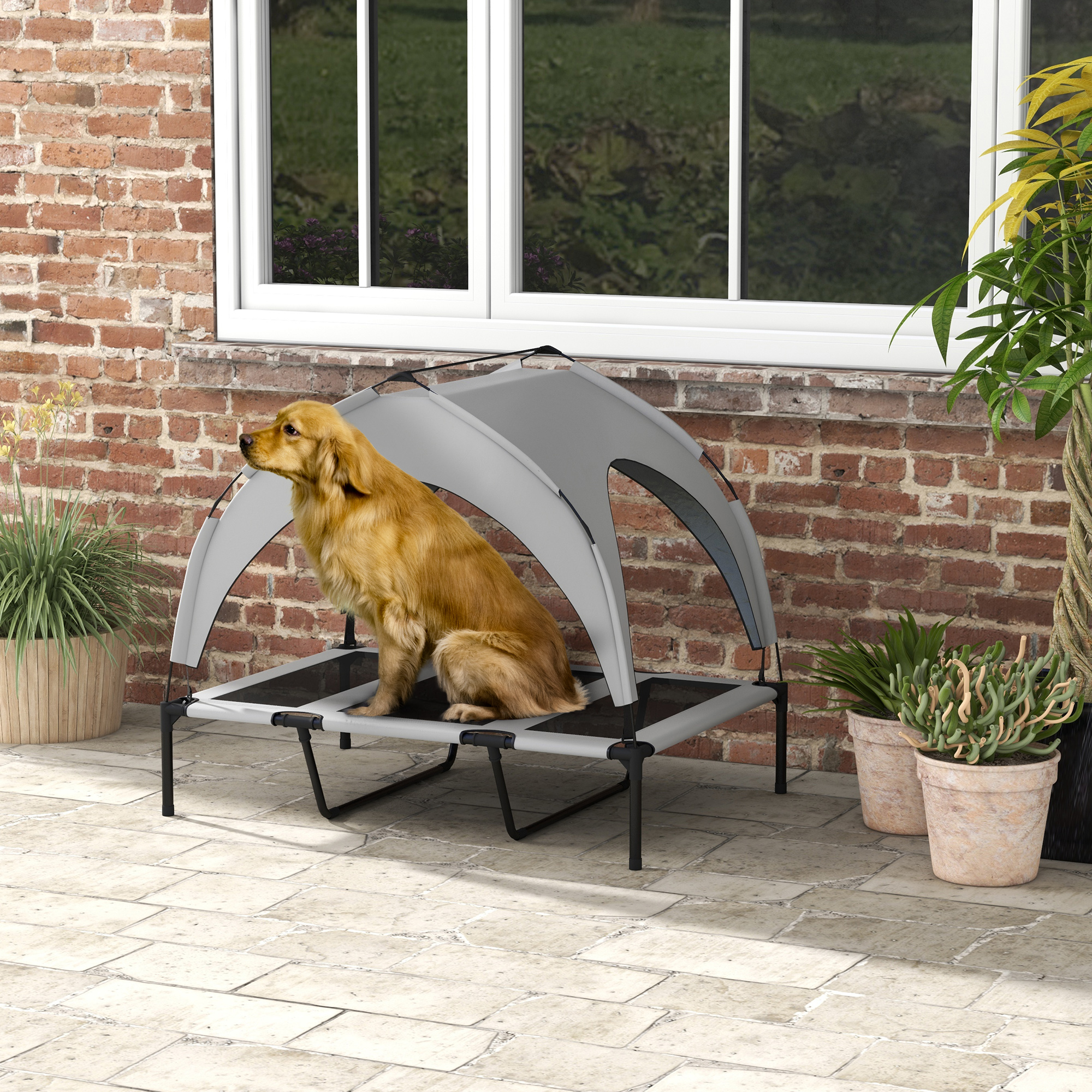 TEMU Lit pour chien surélevé avec auvent, pour chien de couleur