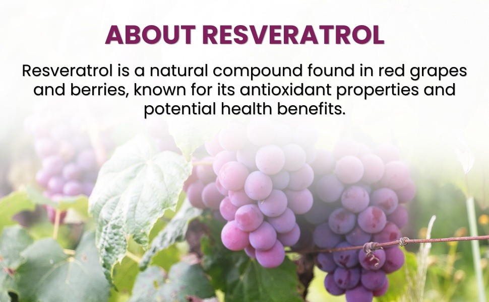 Healthy Care Resveratrol Capsules - Rich in Antioxidants - 180 Capsules