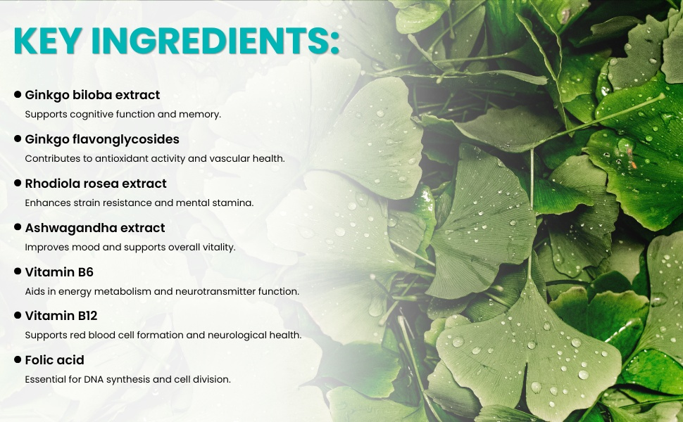 Healthy Care Ginkgo Biloba Capsules - Improves Cognitive Function & Mood Enhancement - Premium Dietary Supplement - All-Natural Ingredients - 100 Capsules - 2000 mg