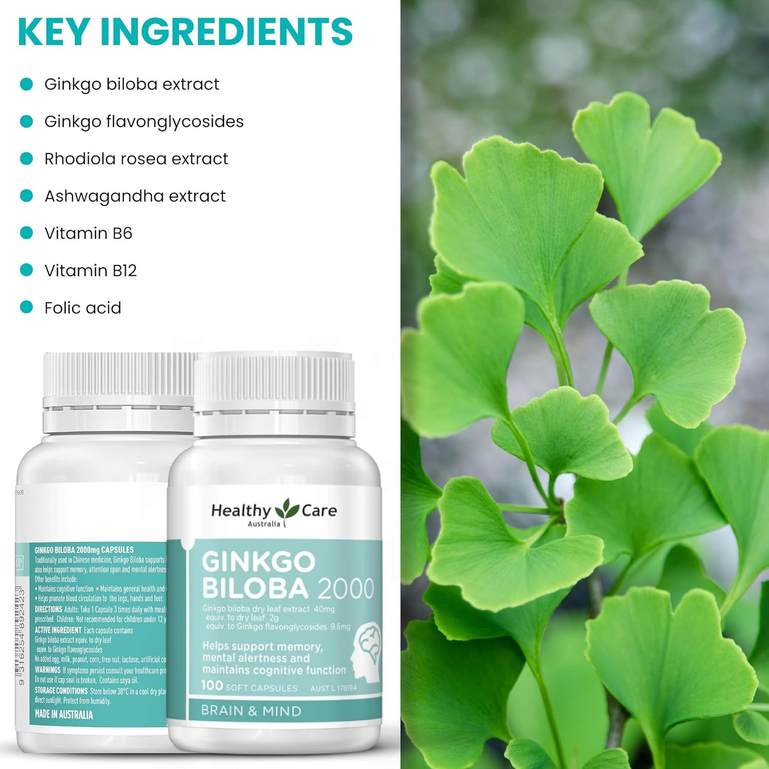 Healthy Care Ginkgo Biloba Capsules - Improves Cognitive Function & Mood Enhancement - Premium Dietary Supplement - All-Natural Ingredients - 100 Capsules - 2000 mg