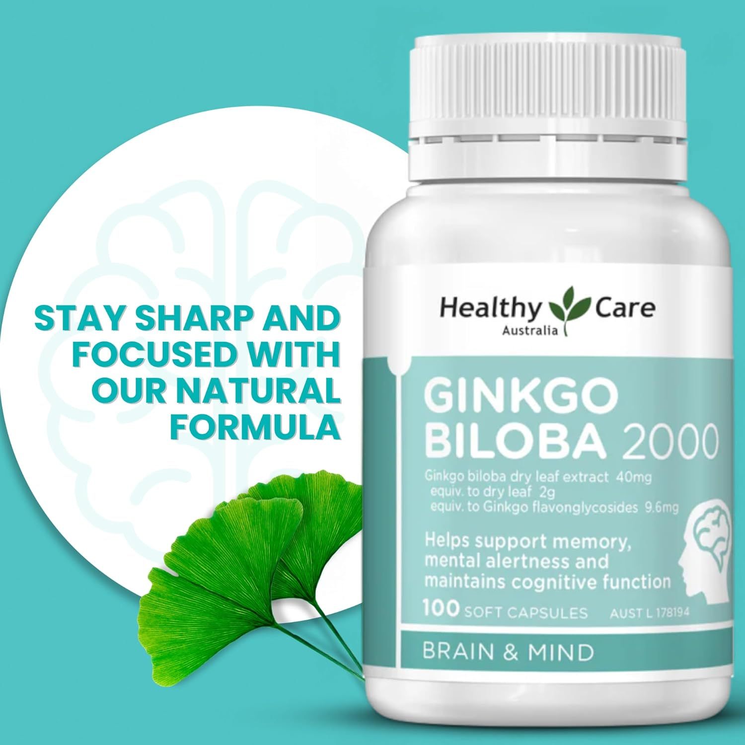 Healthy Care Ginkgo Biloba Capsules - Improves Cognitive Function & Mood Enhancement - Premium Dietary Supplement - All-Natural Ingredients - 100 Capsules - 2000 mg