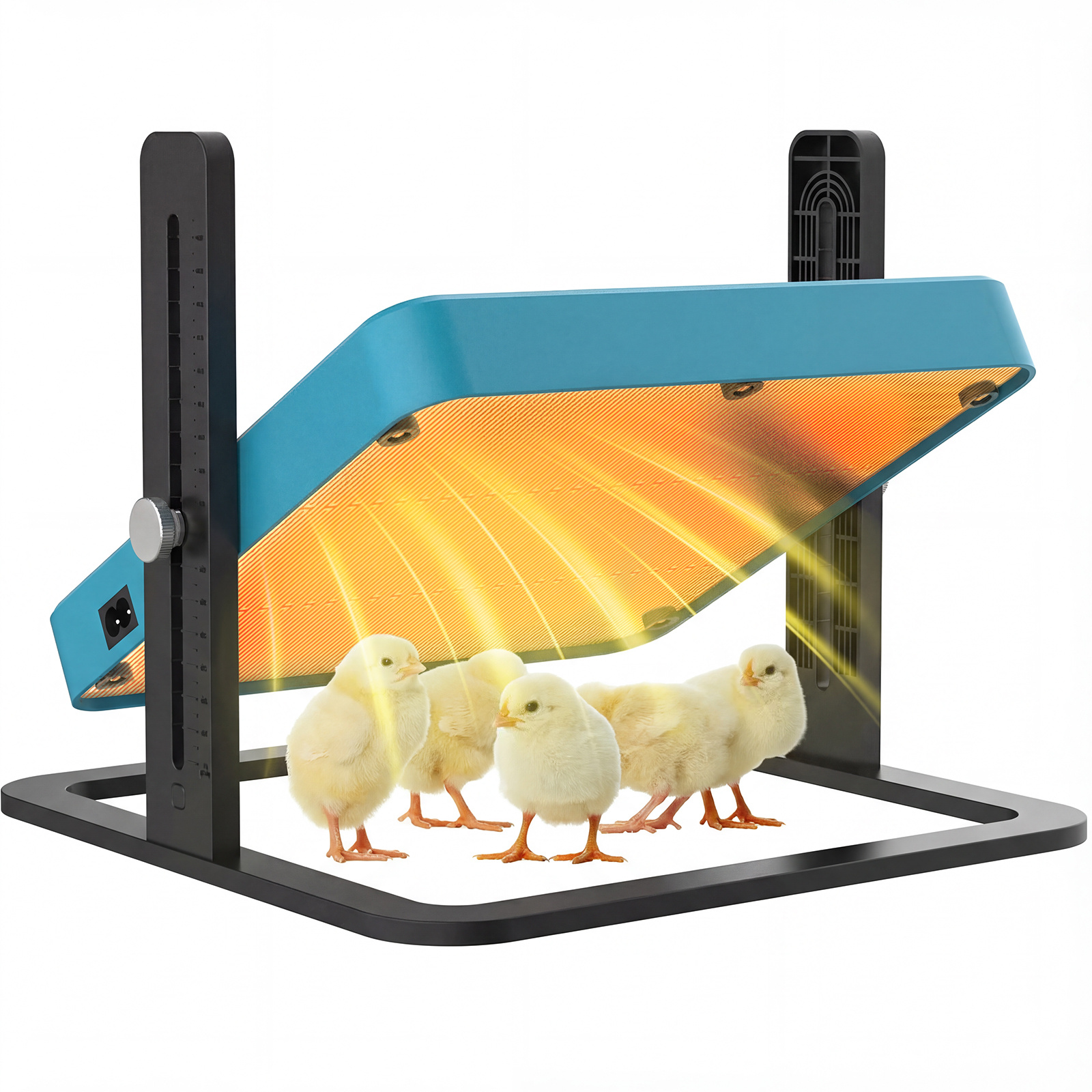 chickens supplies sold on Temu Australia
