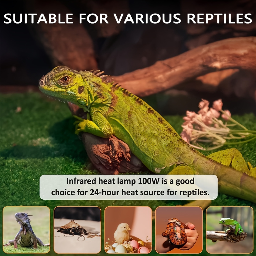 Multi-Size Reptile Ceramic Heat Lamp + Holder Set 250W/150W/100W - Explosion-Proof & Anti-Scald Design, No-Light Constant Temperature Heating, Quiet Non-Disturbing Sleep, High-Temp Resistant Lamp Base, Fit for Lizards/Snakes/Tortoises & All Terrariums, Professional Reptile Heating Essential - Image 6