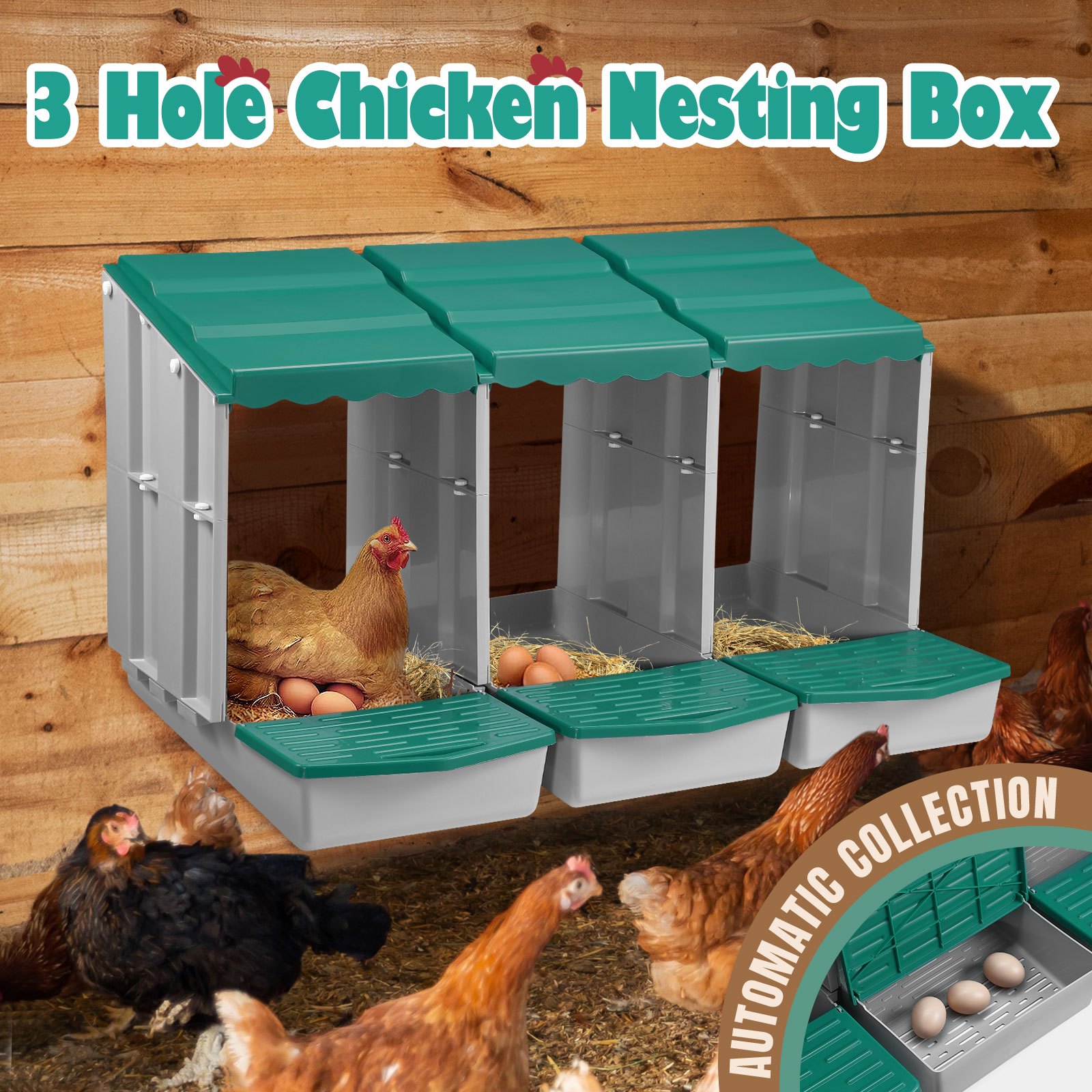 Maxkon 3 Hole Chicken Nesting Box Chook Hen Roll Away Laying Boxes Poultry Modular House Egg Coop Nest Perch Plastic