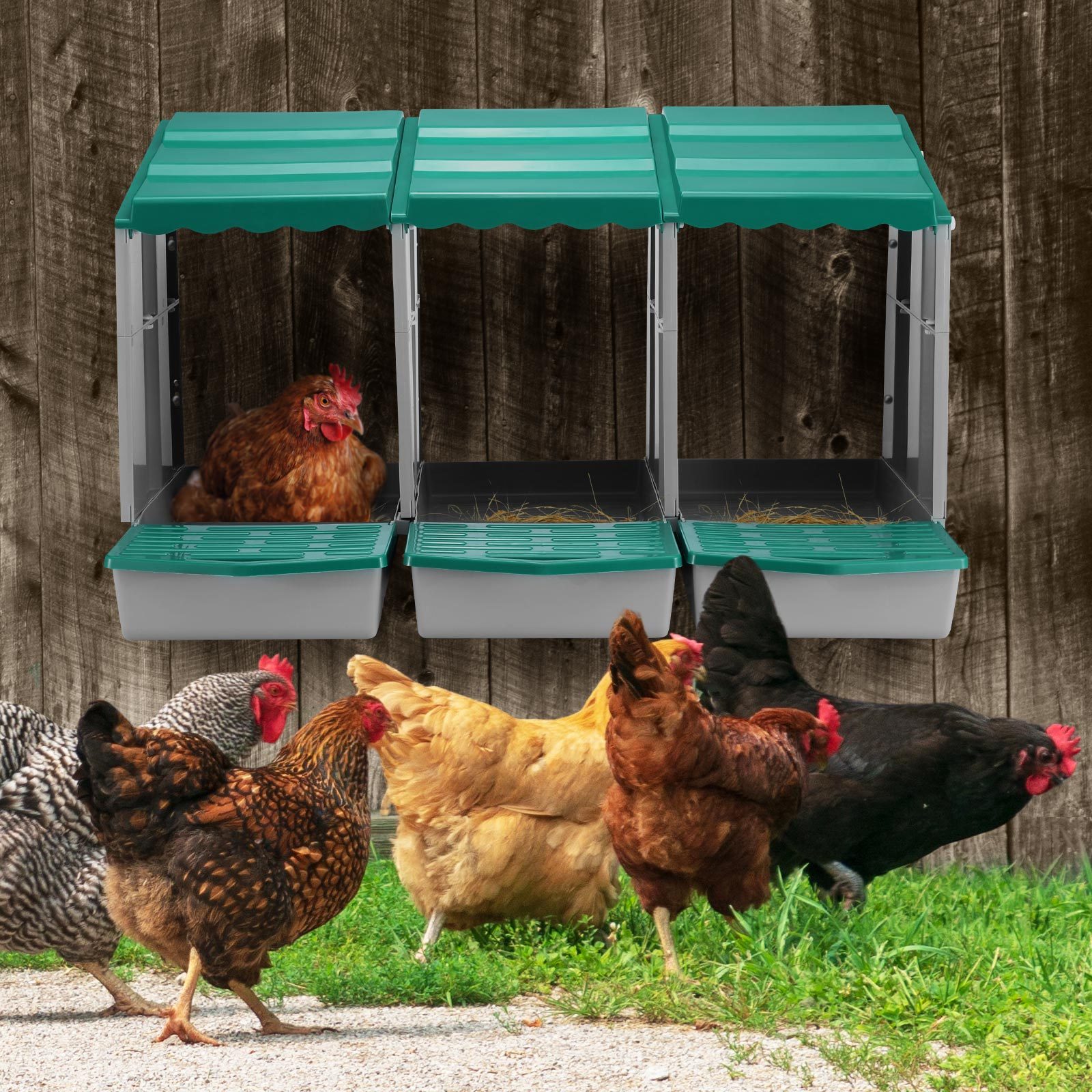 Maxkon 3 Hole Chicken Nesting Box Chook Hen Roll Away Laying Boxes Poultry Modular House Egg Coop Nest Perch Plastic