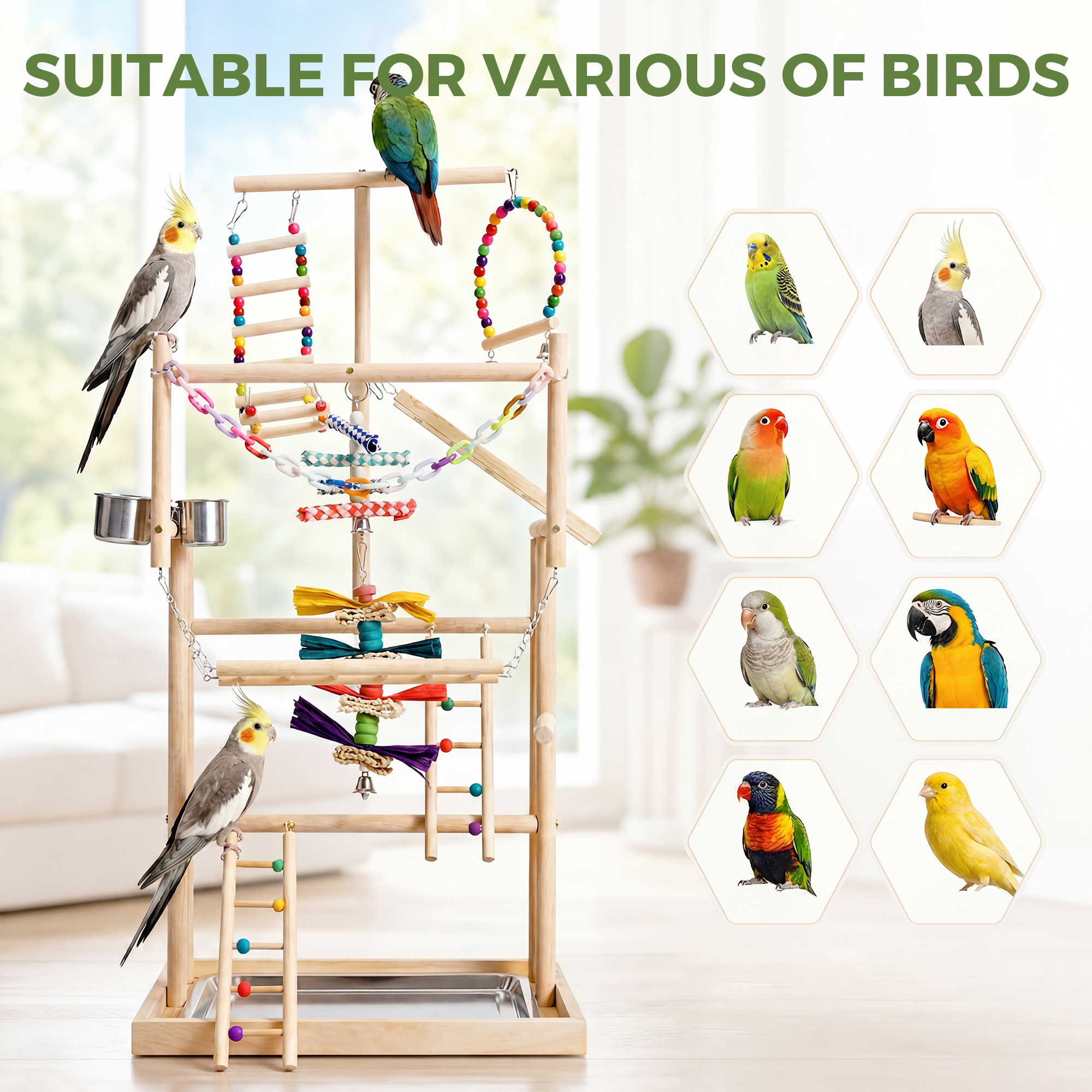 Advwin Bird Playground Stand with Swing & Ladder, Parrot Play Gym with Wood Perches, Feeding Cups & Stainless Steel Tray for Small Medium Birds Budgie Cockatiel Conure - Image 3