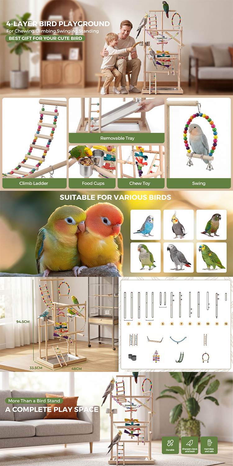 Advwin Bird Playground Stand with Swing & Ladder, Parrot Play Gym with Wood Perches, Feeding Cups & Stainless Steel Tray for Small Medium Birds Budgie Cockatiel Conure